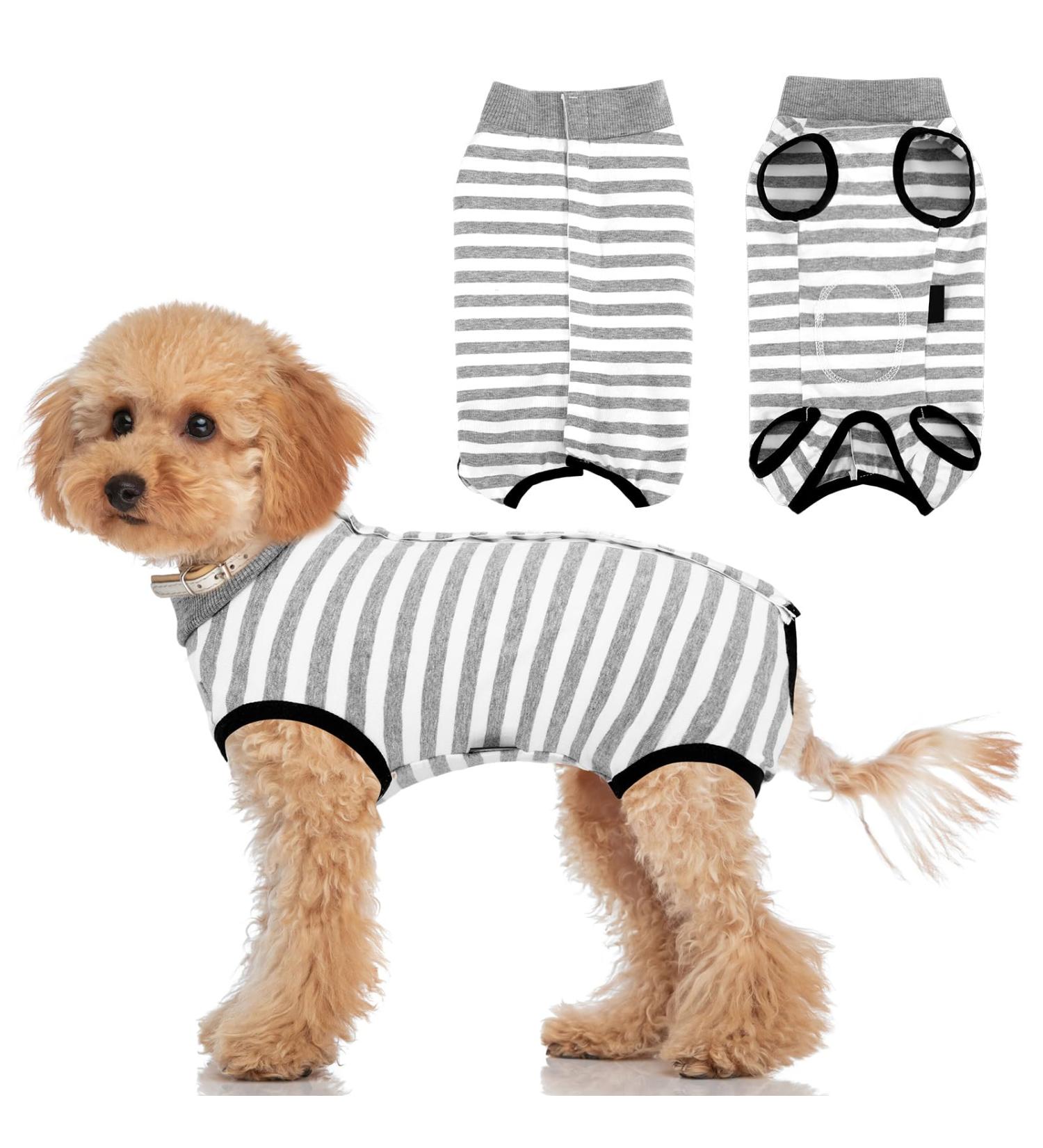 PatinaDrift Dogebody Suit - Post-Op Wound Protection for Dogs | Cone Alternative for Castration Recovery | Small Gray Dog Outfit - Buy Online on GoSupps.com