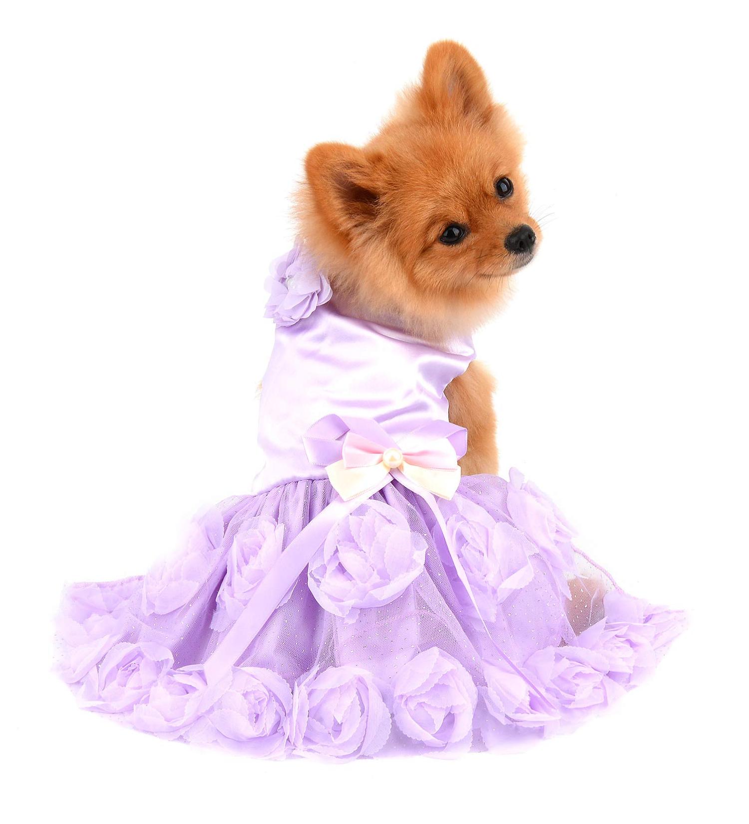 Luxury Summer Dress for Small Dogs & Cats - Paidful Rose Lace Tutu Party Dress for Chihuahua - Purple Bowknot Wedding & Birthday Outfit - Buy Online on GoSupps.com