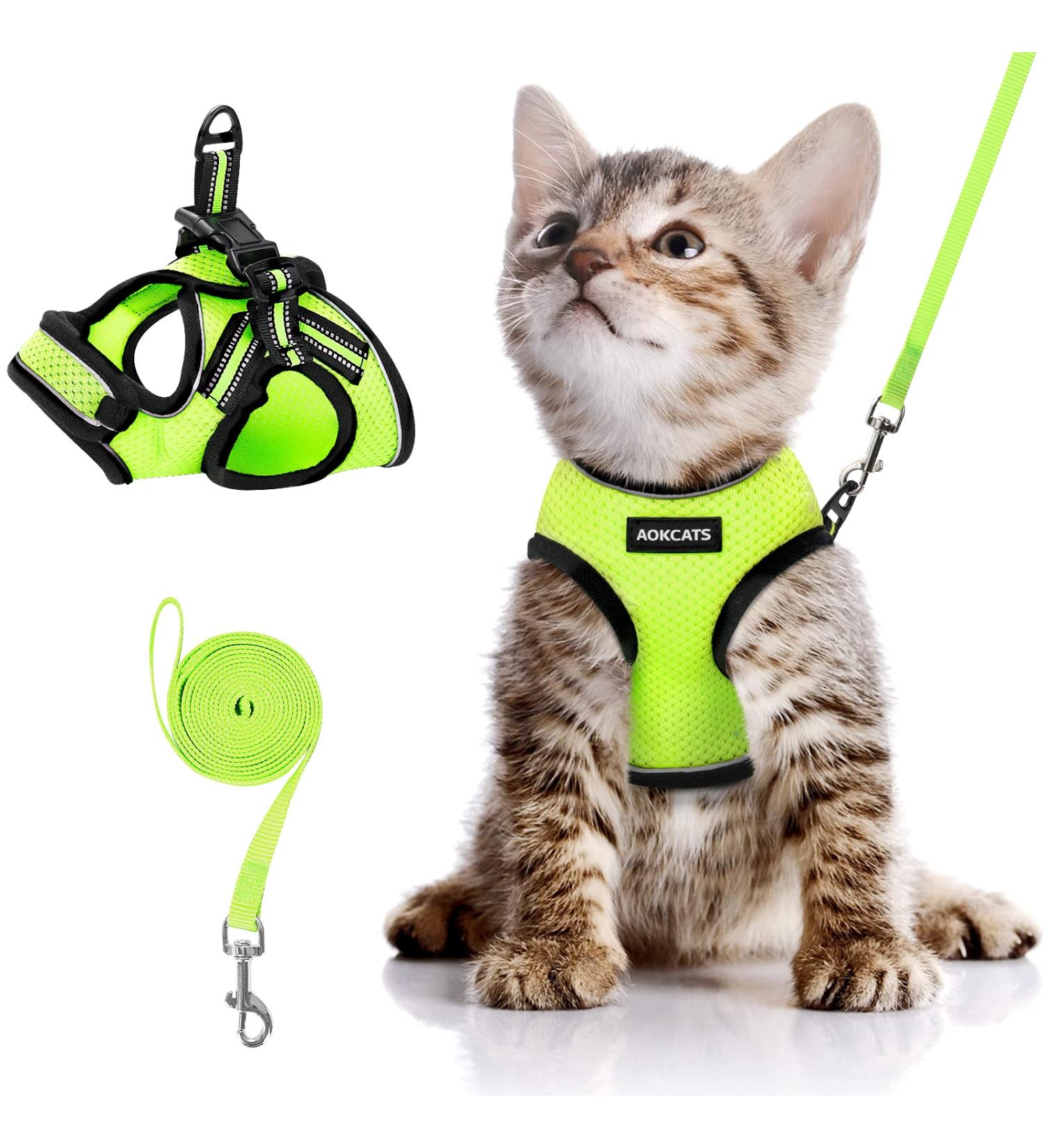 Aokcats Adjustable Soft Reflective Cat Harness Set with Leash & Dishes - Leak-Proof Design for Kittens & Rabbits - Light Green - Buy Online on GoSupps.com
