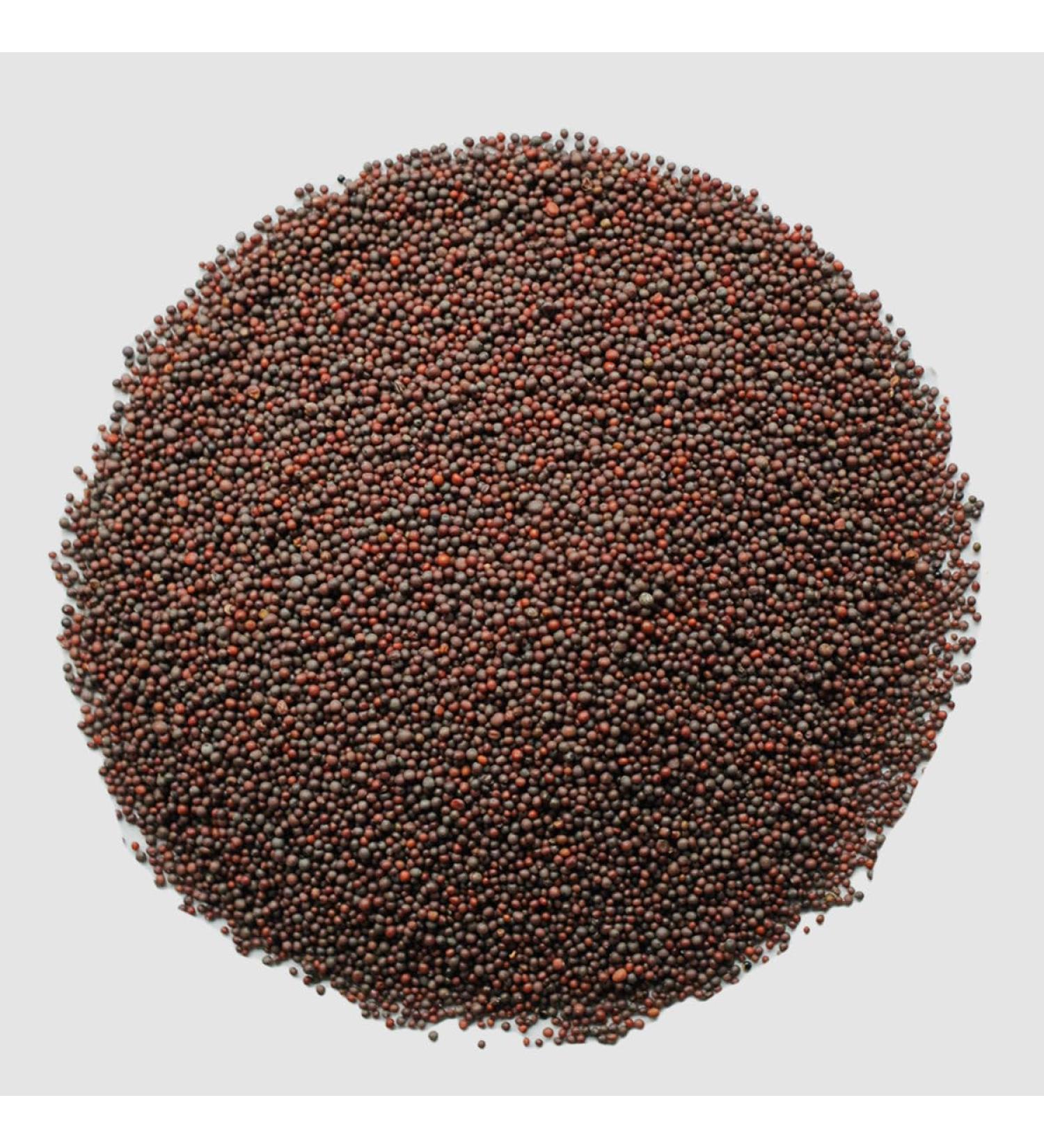 Roohts Black Mustard Seeds | 150g | Organic | 100% Natural | Vegan | Premium Quality | Flavour | Spice | Aroma | Seeds | Cooking | Whole Spices - Buy Online on GoSupps.com