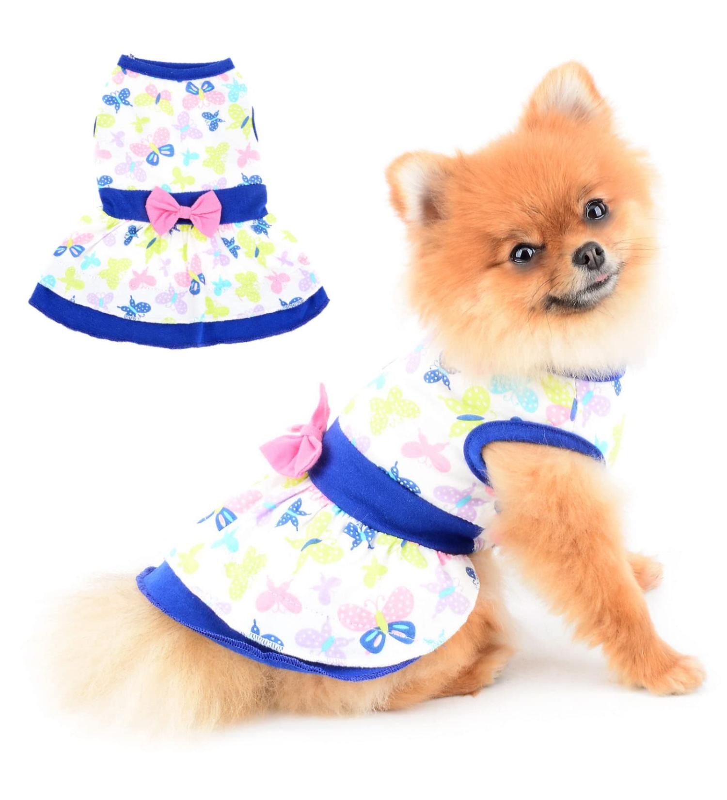 Shop Paidful Dress for Small Dogs & Cats - Soft Cotton Clothing with Bow for Puppies Yorkies & Chihuahuas | Perfect Birthday & Spring/Summer Petwear - Buy Online on GoSupps.com
