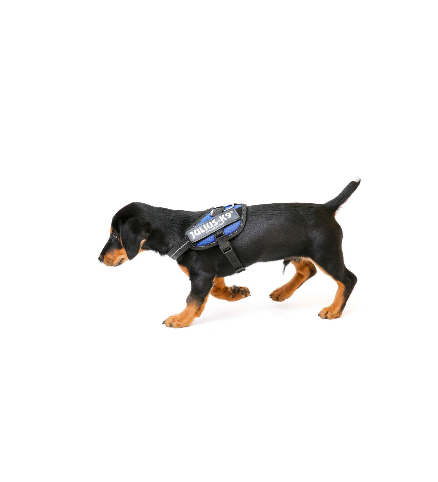 Buy IDC Powerharness 3XS/Baby 1 in Blue - Premium Comfort for Your Baby | Fast International Shipping - Buy Online on GoSupps.com