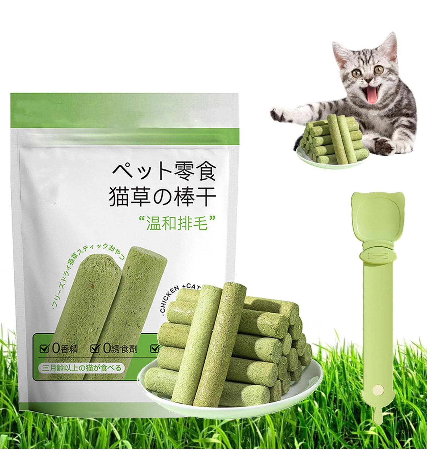 Cat Grass Teething Stick Cat Grass Teething Stick Hairballs Cat Grass Teething Sticks for Indoor Cats Cat Teeth Cleaning Cat Grass Stick for Cadental Care Increase Appetite (6pcs) - Buy Online on GoSupps.com