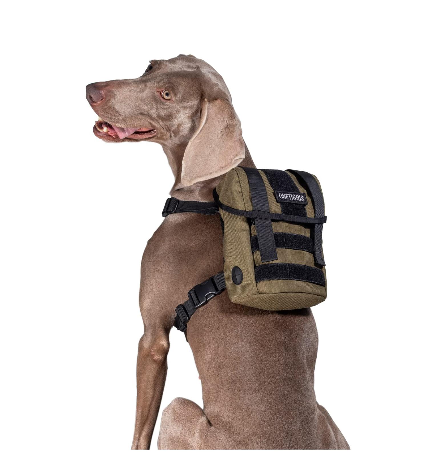 OneTigris Eureka Small Dog Backpack - Hiking Backpack with Poop Bag Dispenser for Small Dogs - Green - Buy Online on GoSupps.com