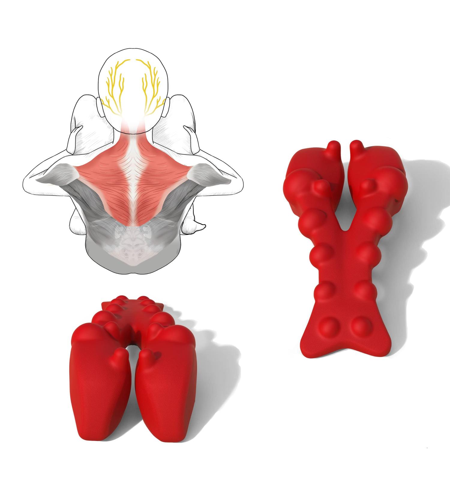 Littlemum Trapezius Trigger Point Massage Device - Relieve Neck Pain Neuralgia Tension & Headaches - Buy Online on GoSupps.com