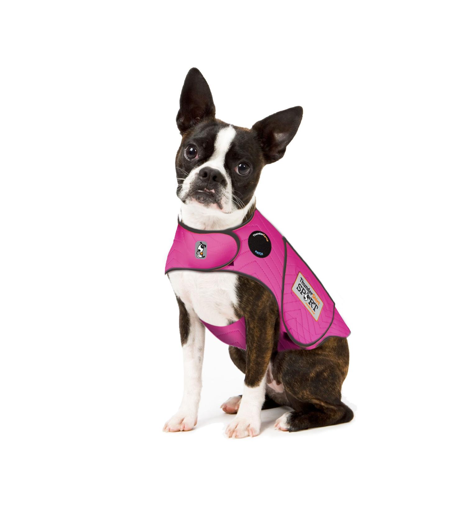 Thundershirt Dog Anxiety Jacket - Fuchsia XS | Best Anxiety Relief Clothing for Dogs - Buy Online on GoSupps.com