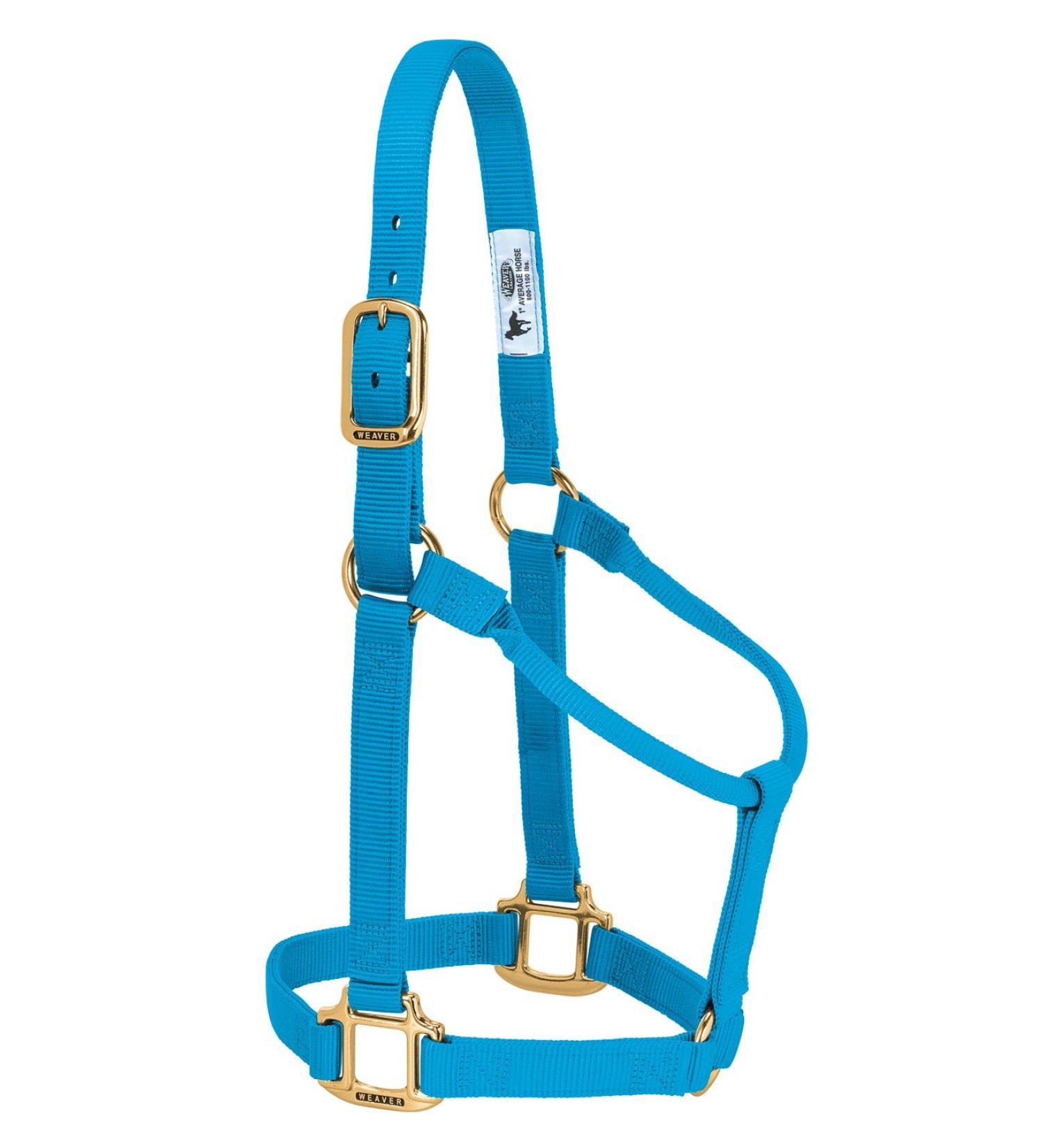 WEAVER Leather Non-adjustable halter Hurricane blue Small Horse