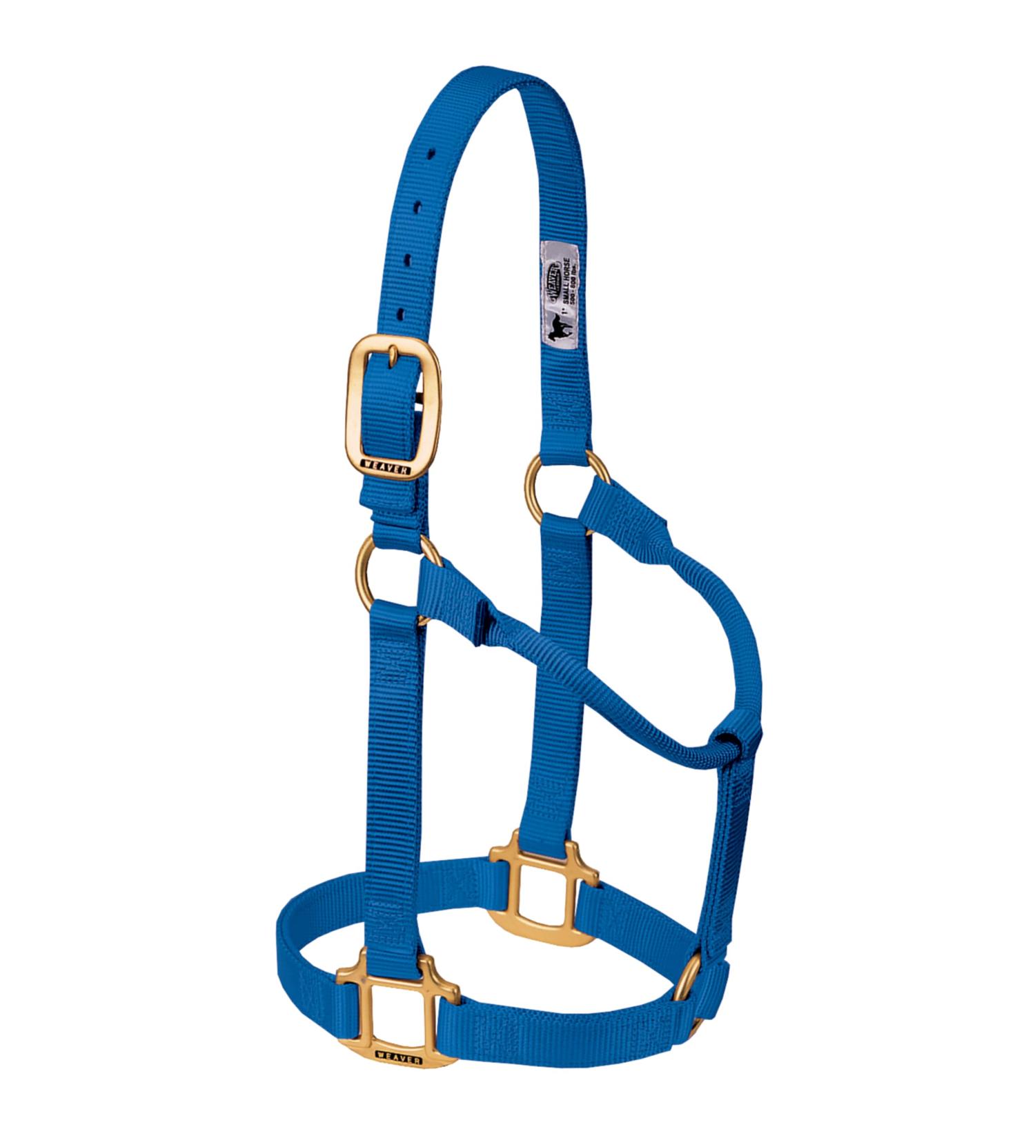 WEAVER Blue Leather Non-Adjustable Halter for Average Horses - Durable & Stylish | International Shipping Available - Buy Online on GoSupps.com