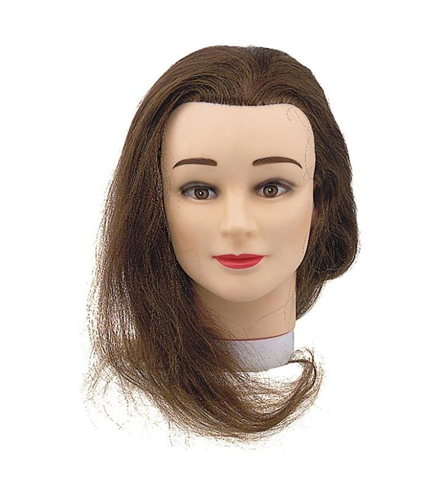 T te Apprentissage Student