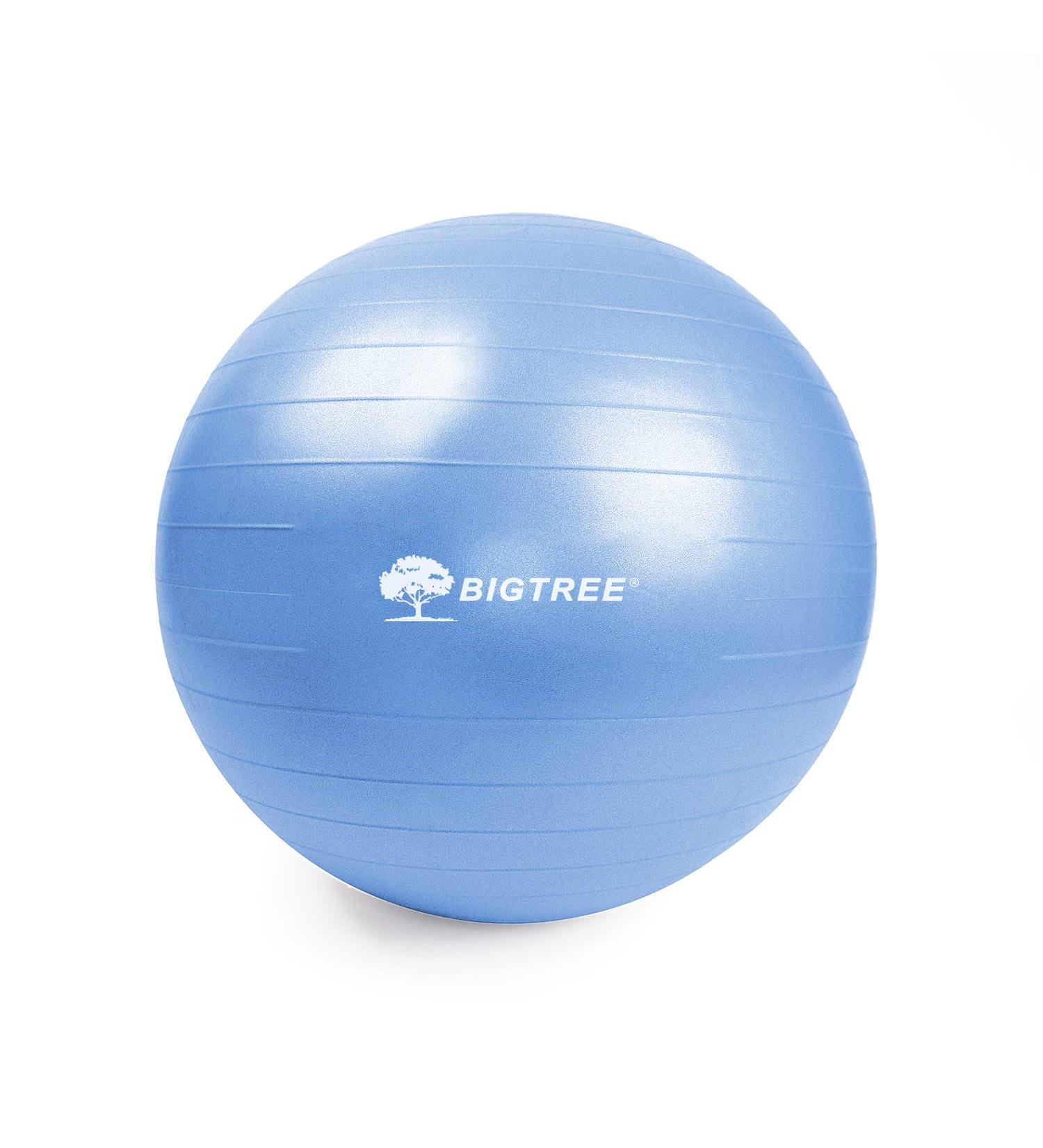 2022 Upgrade BIGTREE Yoga Ball | 600 lbs Capacity | Anti-Burst | Exercise Fitness Core Stability | Blue 55cm | Ideal for Office, Home Gym, Prenatal Birthing - Buy Online on GoSupps.com