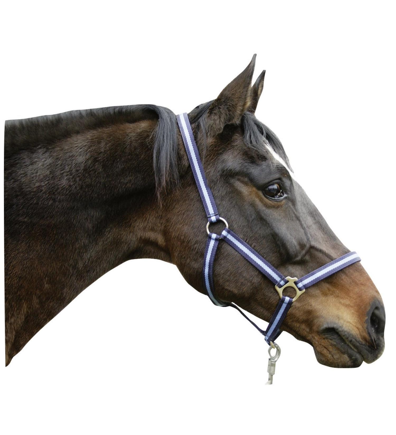 Kerbl Nylon Halter Hippo Nylon Halter for Pony Shetty Full Cob XFull 6 Colors 34 blue