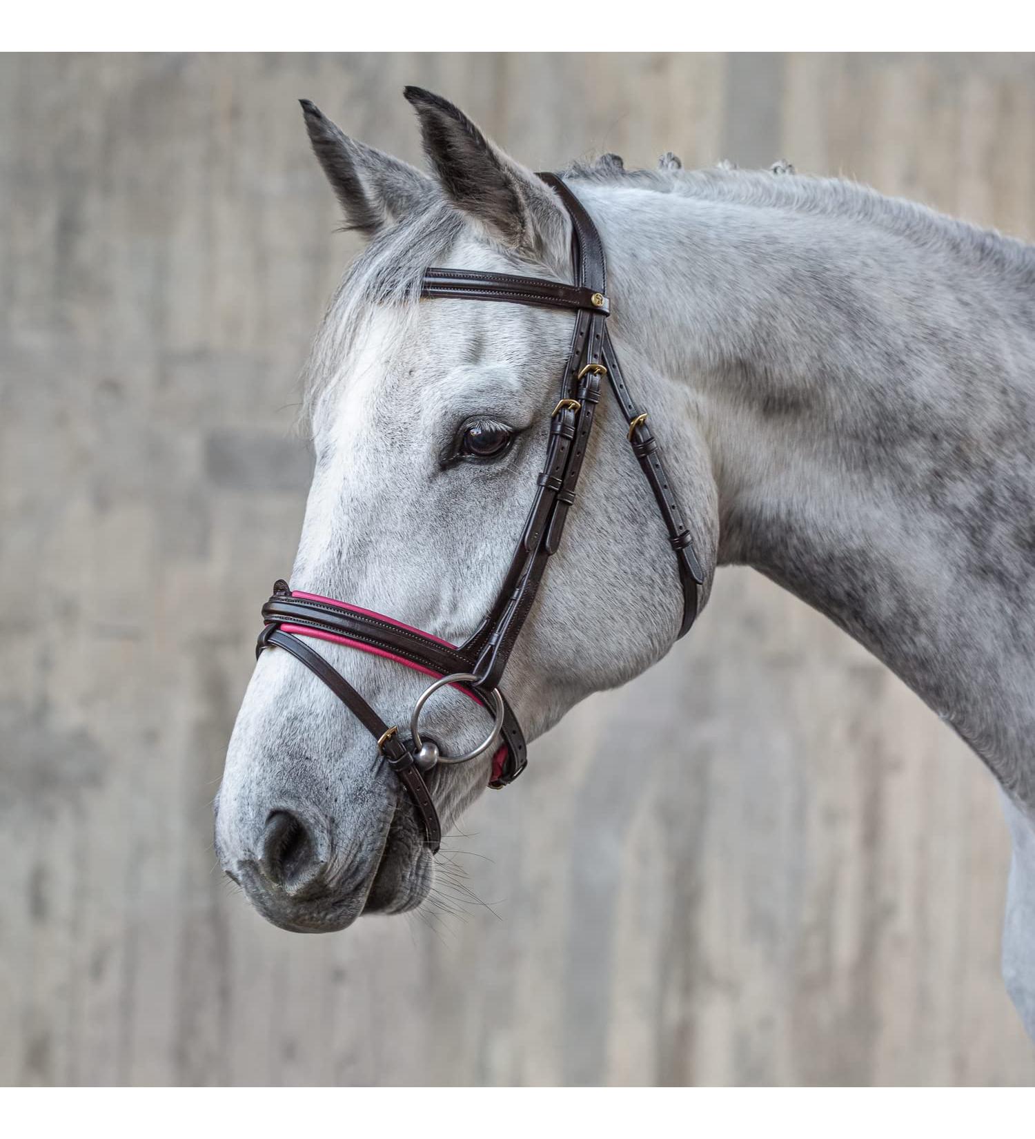 Sunride English Combined Bridle Hawaii with Adjustable Reins - Soft Real Leather Anatomical Design (COB Brown/Pink) - International Shipping Available - Buy Online on GoSupps.com