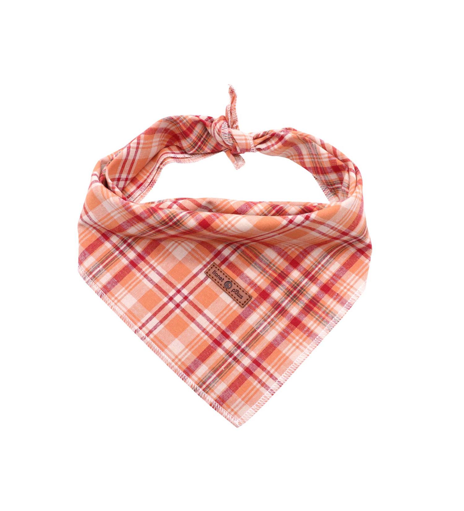 Shop Lionet Paws Dog Bandana - Triangular Scarves for Small Medium & Large Dogs | Orange Headscarves (Pack of 1) - Buy Online on GoSupps.com