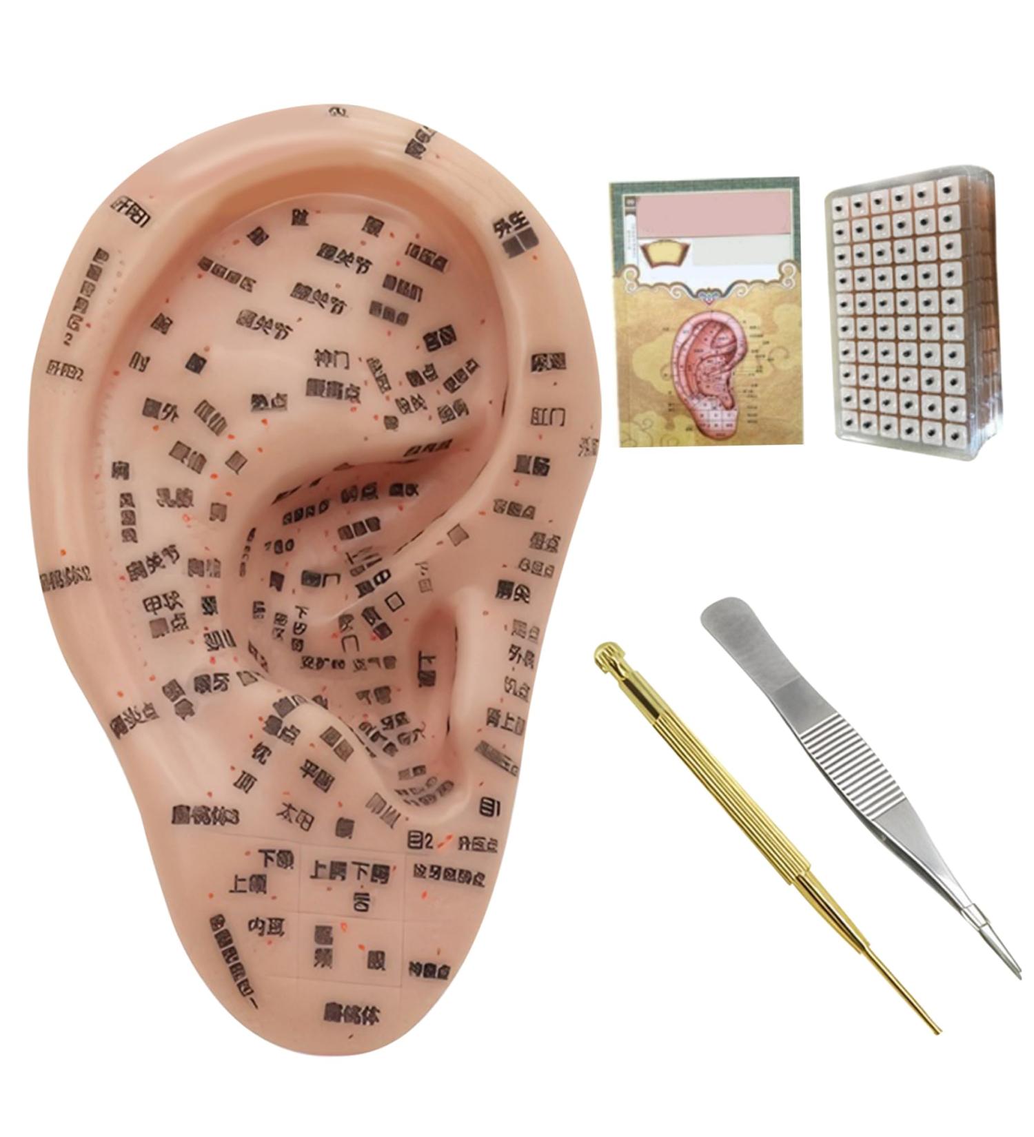 Ear Acupuncture Set - Needle & Ear Seeds for Weight Loss | Complete 7.5 Ear Model Plasters Tweezers & Guide Book - Buy Online on GoSupps.com