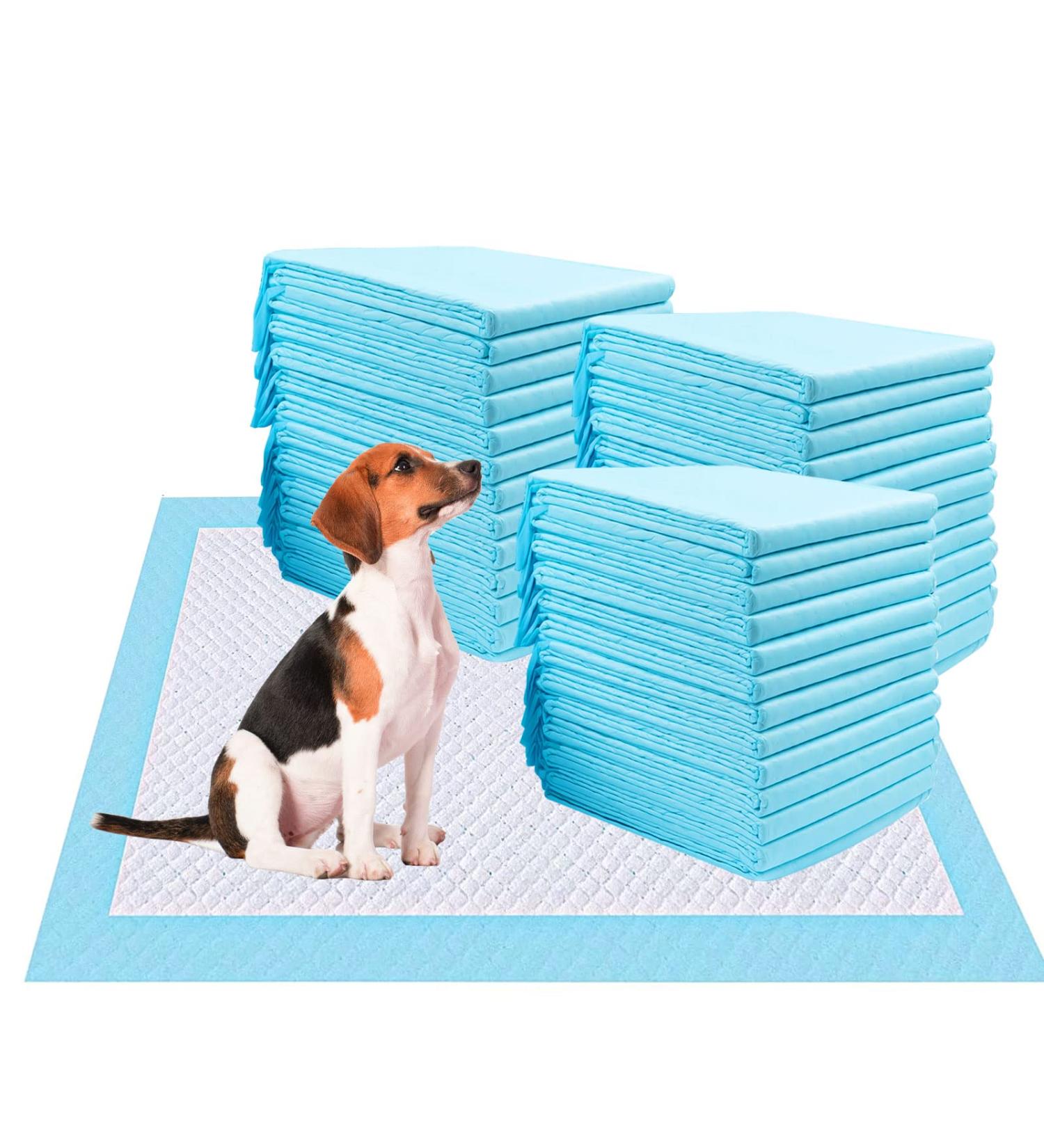 200 Pcs Puppy Pee Pads Training Puppy Pee Pads Super Absorbent & Leak-Proof Disposable Pet Piddle Pad and Potty Pads for Puppies Dogs Doggie Cats Rabbits 18 x 13 inch 200 Pcs- 18 x 13 inch - Buy Online on GoSupps.com