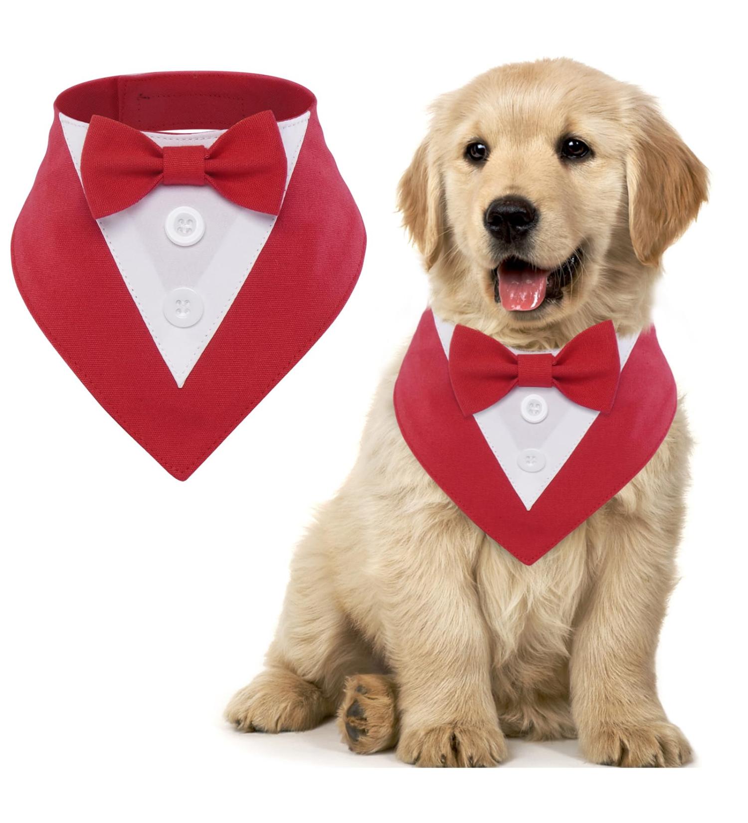 Maustlie Dogs Smoking Bandana - Adjustable Pet Triangle Scarf for Weddings & Parties | XS Red - Buy Online on GoSupps.com