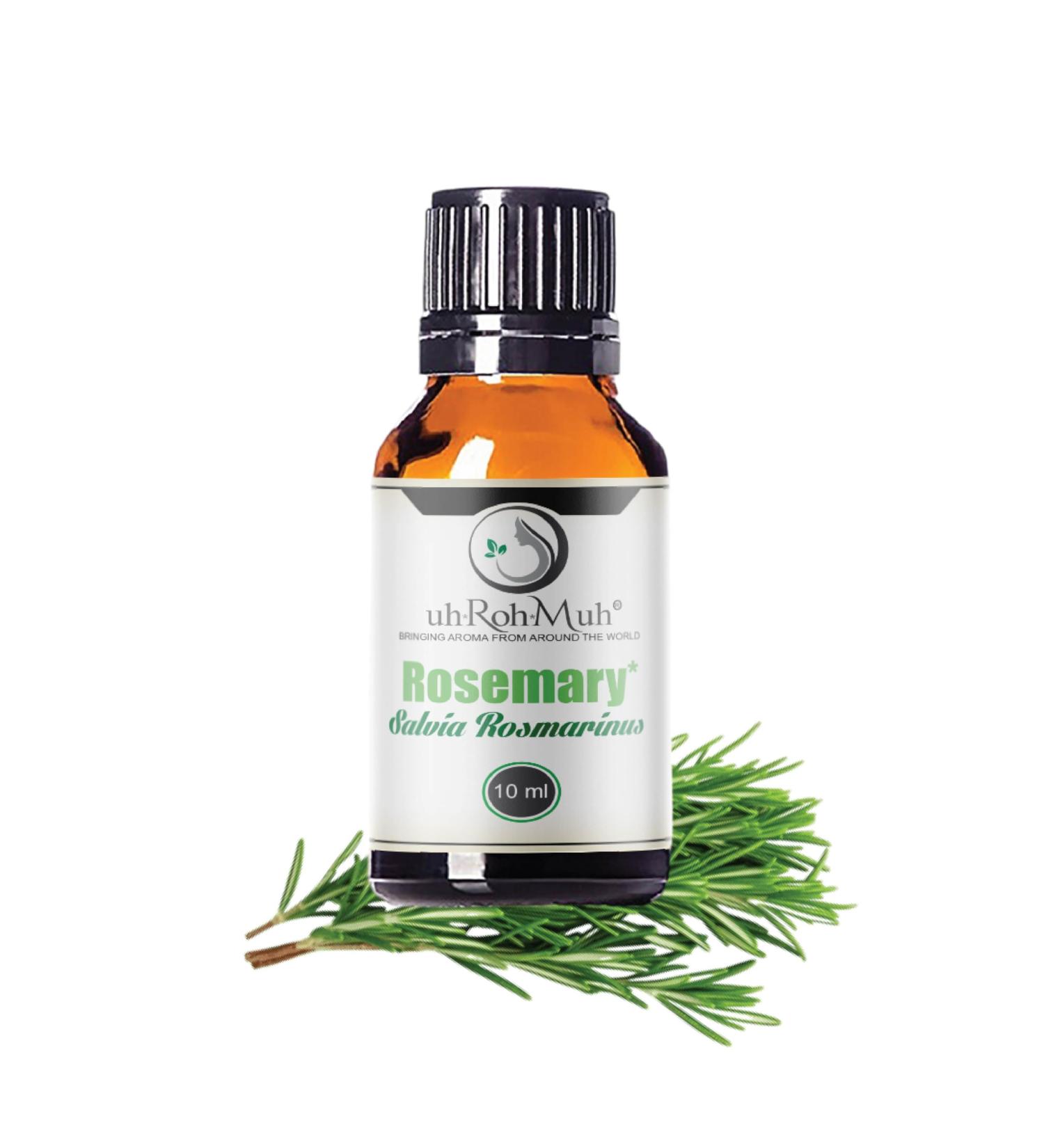 Organic Rosemary Essential Oil Chemotype Cineole | 100% Pure & Natural Steam Distilled from Leaves | Aromatherapy Hair Growth Focus & Respiratory Support | Fresh Woody Aroma | Spain - 10ml Rosemary 0.33 Fl Oz (Pack of 1) - Buy Online on GoSupps.com
