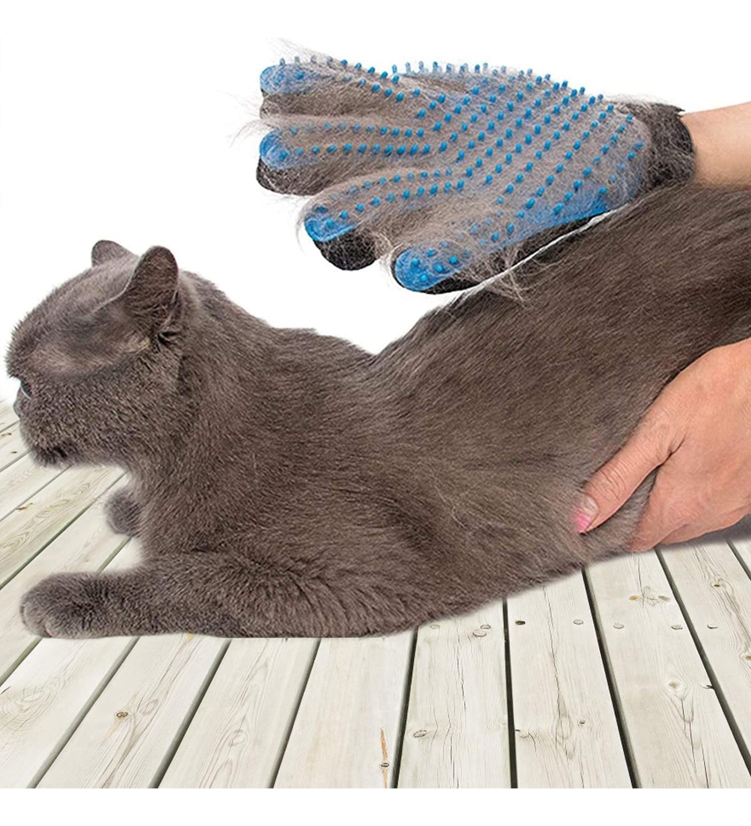 SSRIVER Petement Fur Care Glove - Gentle Depilation & Massage for Dogs Cats & Horses - Blue Mitt for Short & Long Fur - Buy Online on GoSupps.com