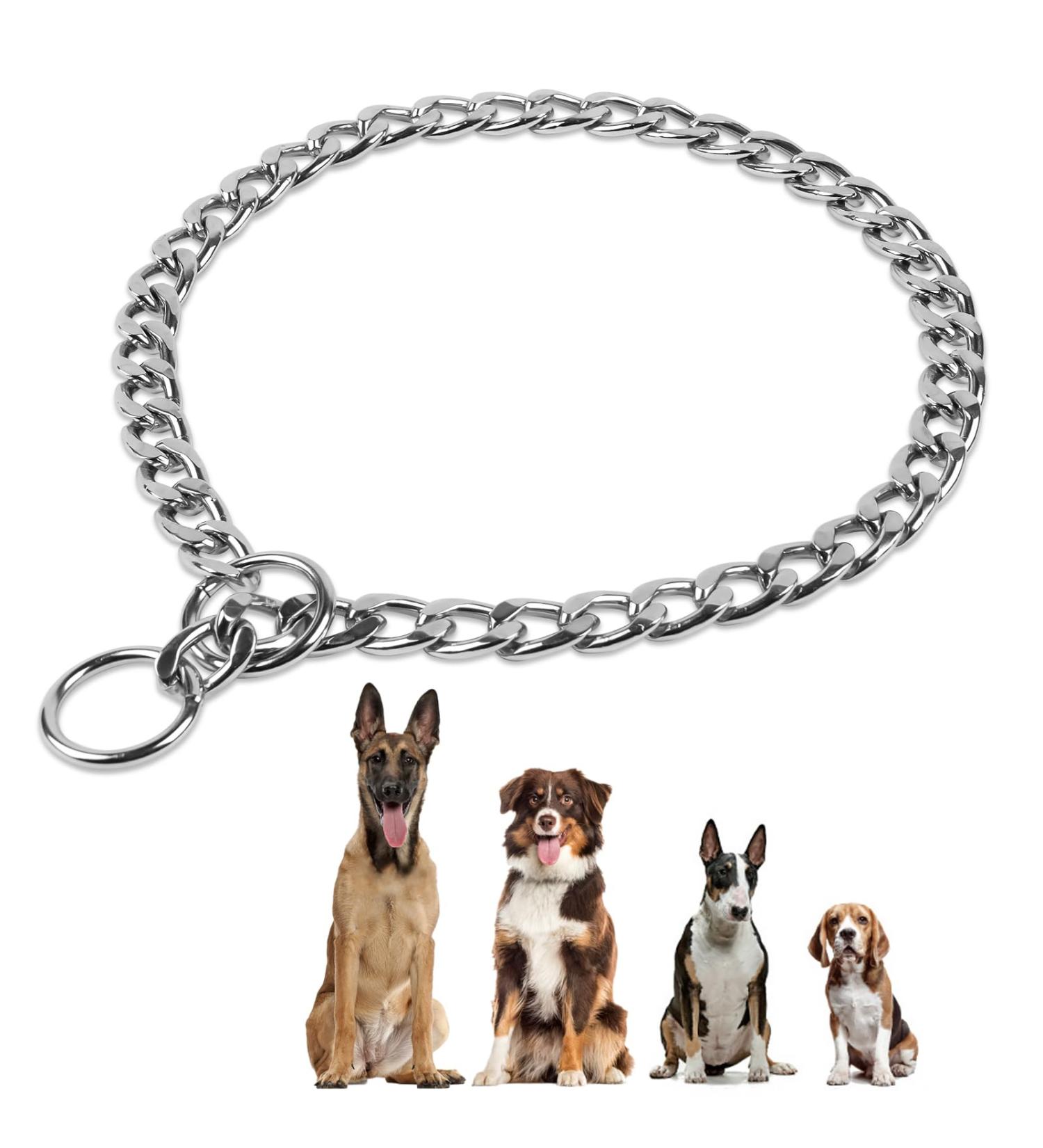 AUAUY Dog Chain Collars Durable Metal Choke Chain for Dog Training Collar Chain Silver Plating No Pull Pet Collar Chain for Pet Outdoor Training Small Medium Large Dogs Diameter 4.0mm Length 65cm Flat P-Chain L-(4.0mm*65cm) - Buy Online on GoSupps.com