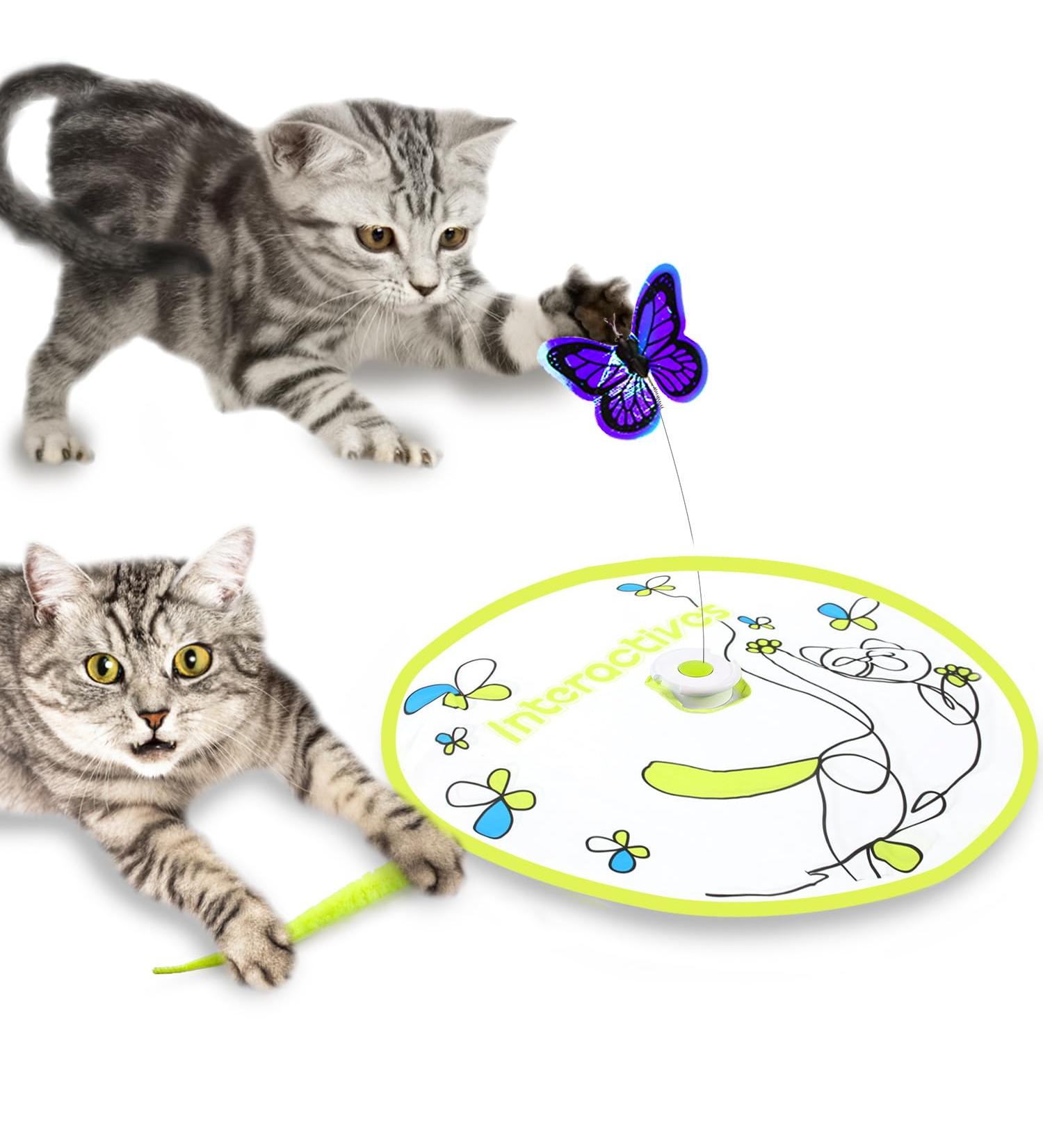 All For Paws 2 in 1 Automatic Cat Toys - Hide & Seek Flutter Bug Spinner for Indoor Cats - Buy Online on GoSupps.com