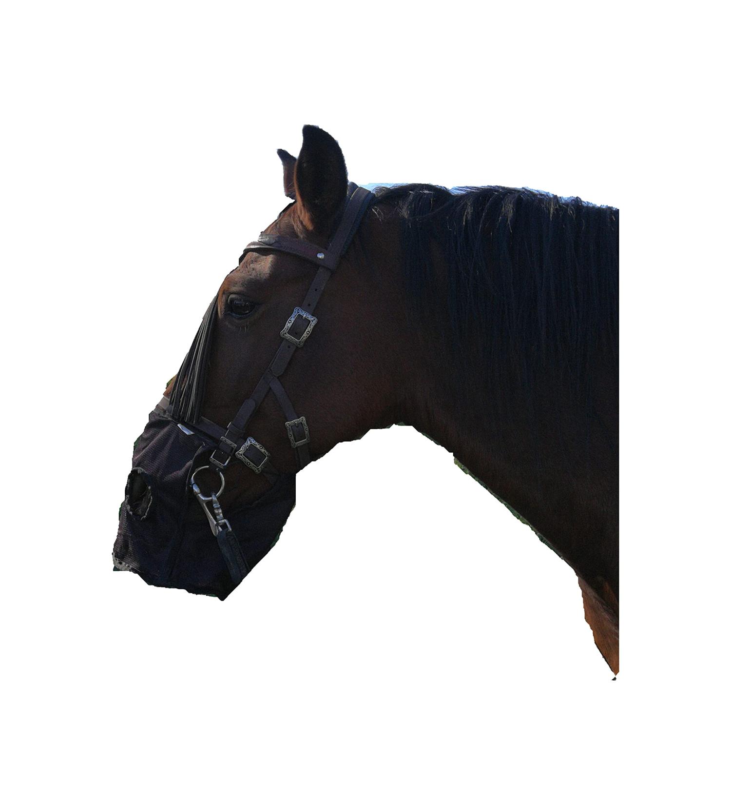 Generic RH muzzle grazing bark for riding and driving (VB/WB)