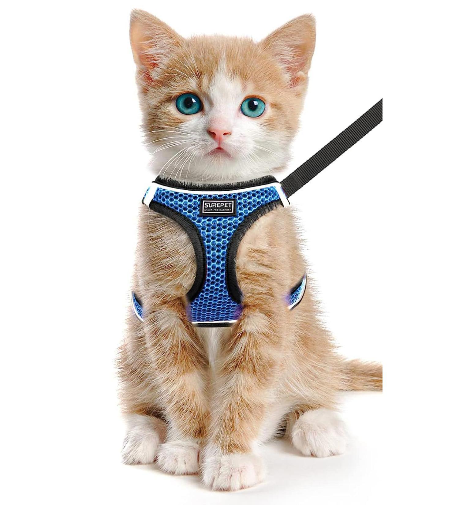 LOOK ANDES Care Carriation Cat Harness with Leash - Reflective Dishwashing for Cats & Puppies (XS: 26-30cm) - Blue - Buy Online on GoSupps.com