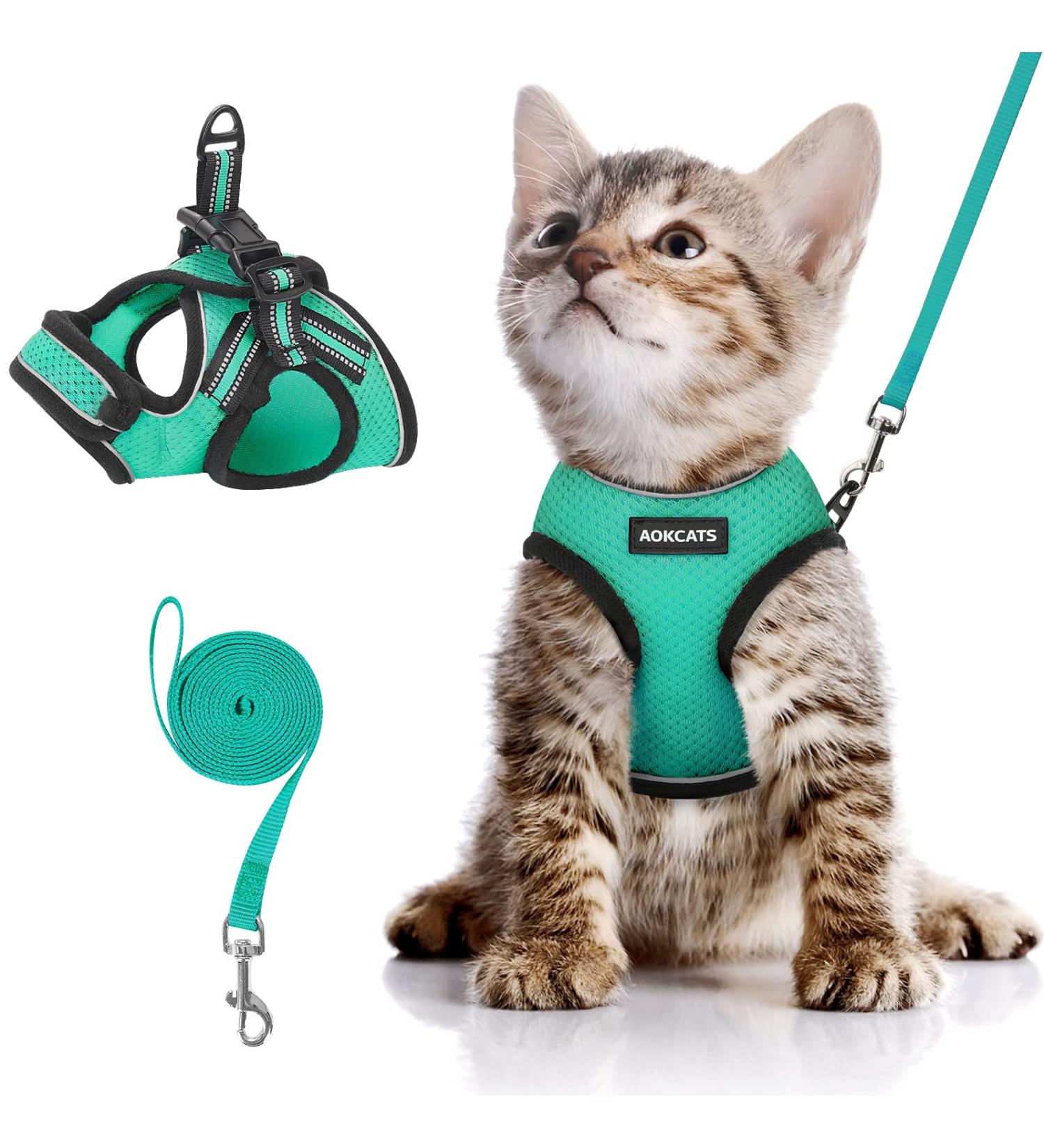 Aokcats Adjustable Cat Leash & Dishes Set | Outbreak-Proof Harness & Soft Reflective Gear for Cats & Rabbits - Green - Buy Online on GoSupps.com