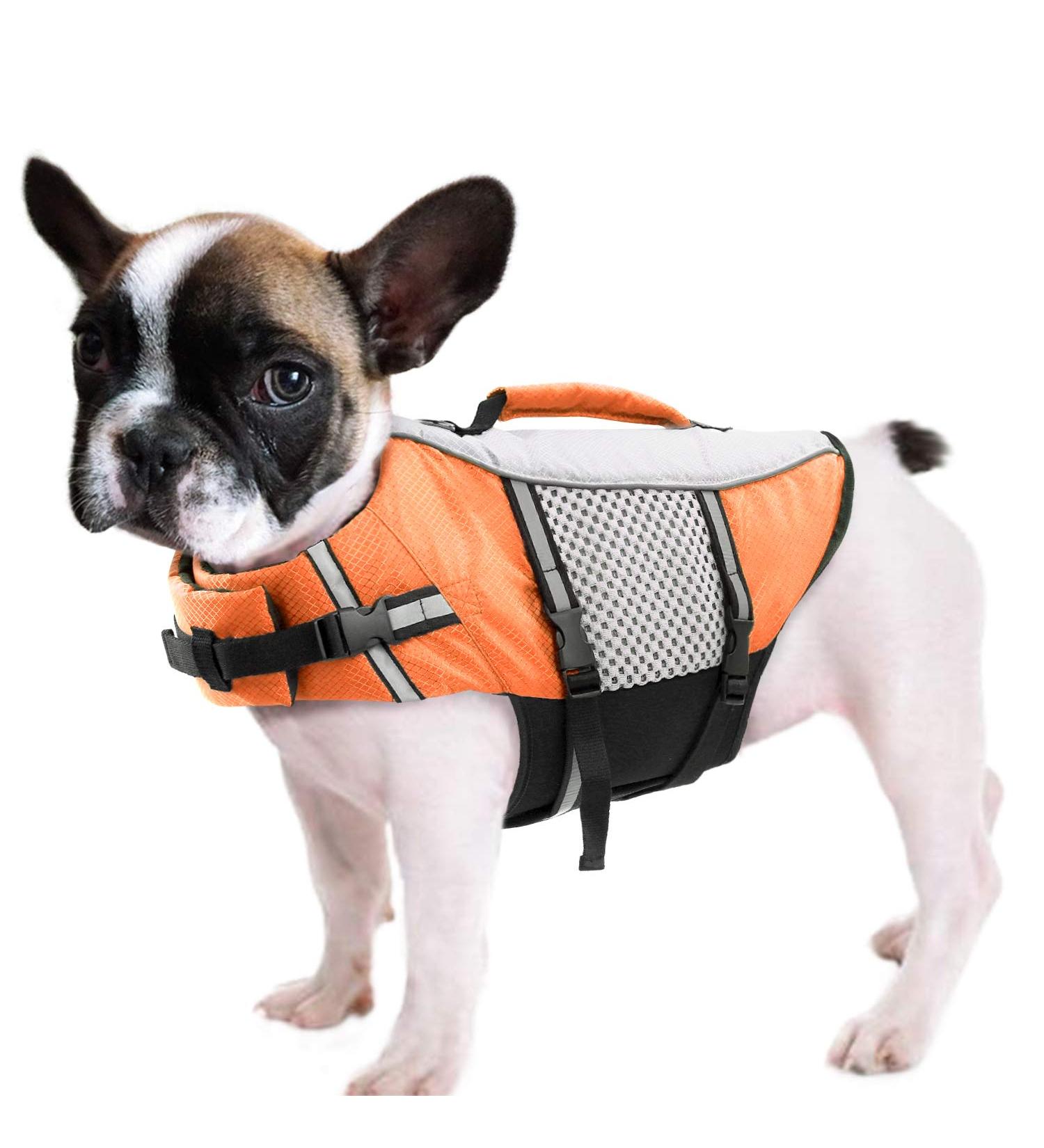 Cit toile Adjustable Life Jacket for Small Dogs - Breathable & Lightweight Dog Life Vest with Handle for Swimming Canoeing & Kayaking - Orange - Buy Online on GoSupps.com