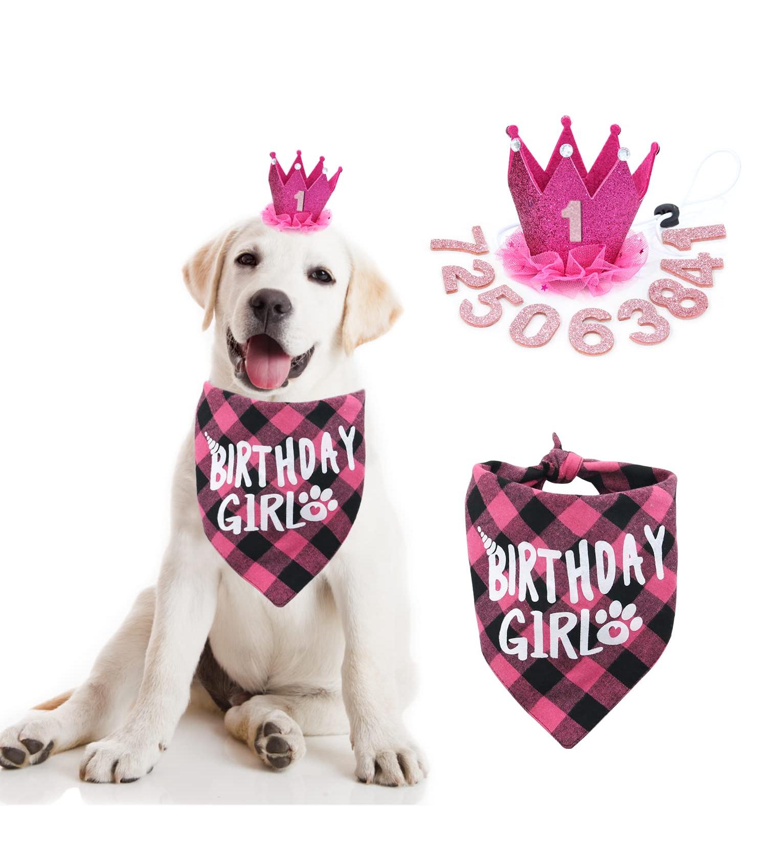 Girl Dog Birthday Bandana & Hat Set - Perfect Supplies for Small/Medium Dog Parties - Buy Online on GoSupps.com