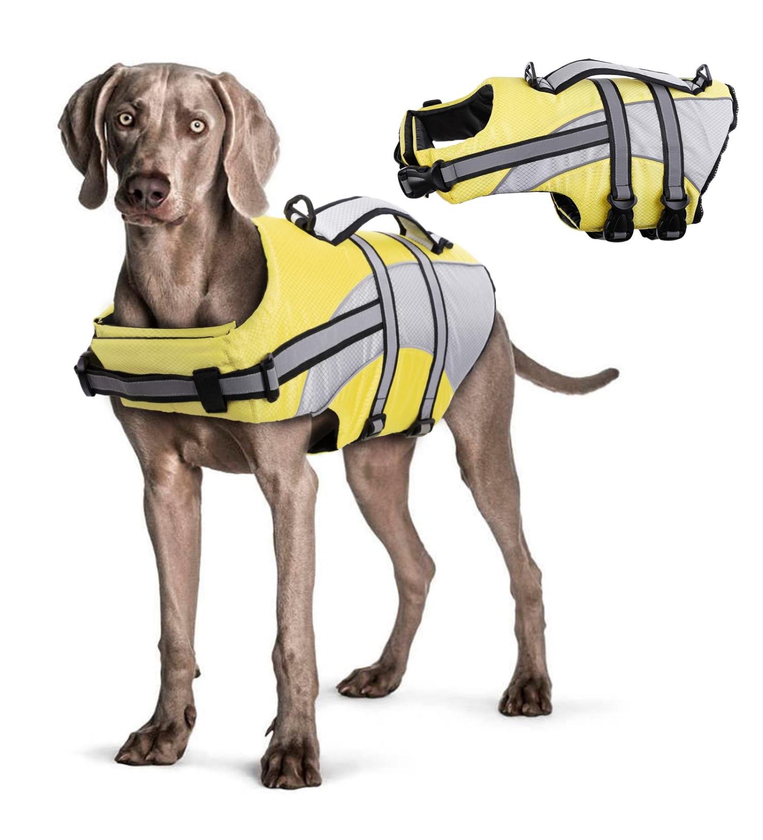 Buy Hjyokuso Dog Life Jacket - Adjustable Reflective & Buoyant Swimming Aid for Small Dogs (16.9-21.2) | Ideal for Boating & Canoeing - Buy Online on GoSupps.com