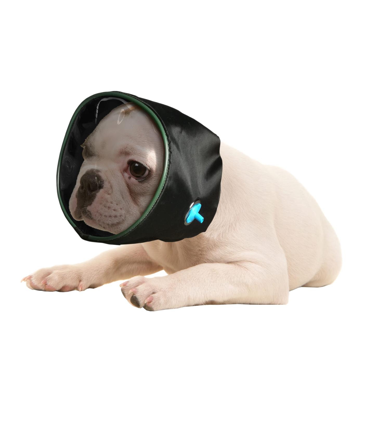 Oxygen Mask for Cats Dogs or Horses. For Oxygen Therapy or Administering Inhaled Drugs. Recommended by Vets. (X-Large) - Buy Online on GoSupps.com
