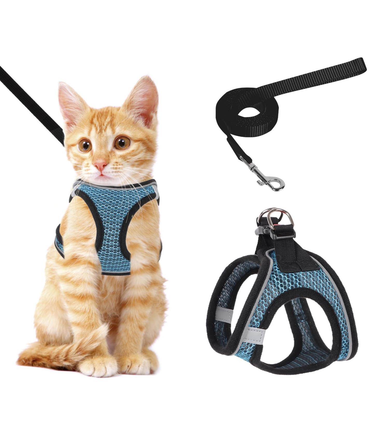 Shop Lollanda XS Blue Cat Dishes with Leash & Adjustable Soft Kitten Vest - Reflective Stripe Design for Small Cats - Buy Online on GoSupps.com
