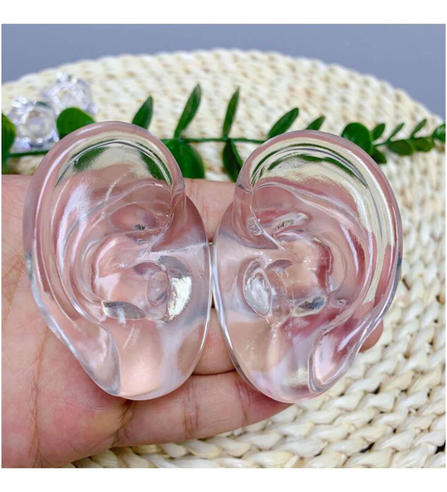 Professional Ear Model 1 Pair Artificial Practical Ear Display Simulation Fake Ear Jewelry Ear Studs Hearing Aids - Buy Online on GoSupps.com