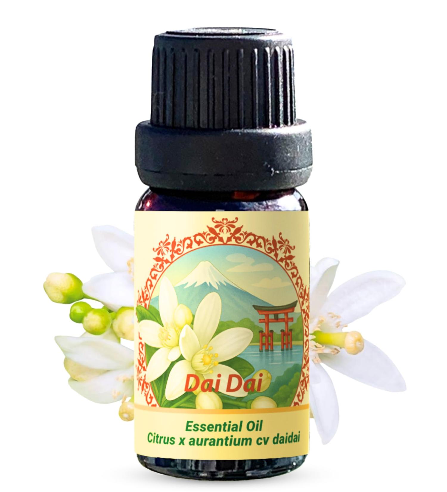 Dai Dai Flower Essential Oil (Citrus aurantium VAR. Daidai) | 100% Pure Steam Distilled | 0.33 FL OZ / 10 ml - Buy Online on GoSupps.com