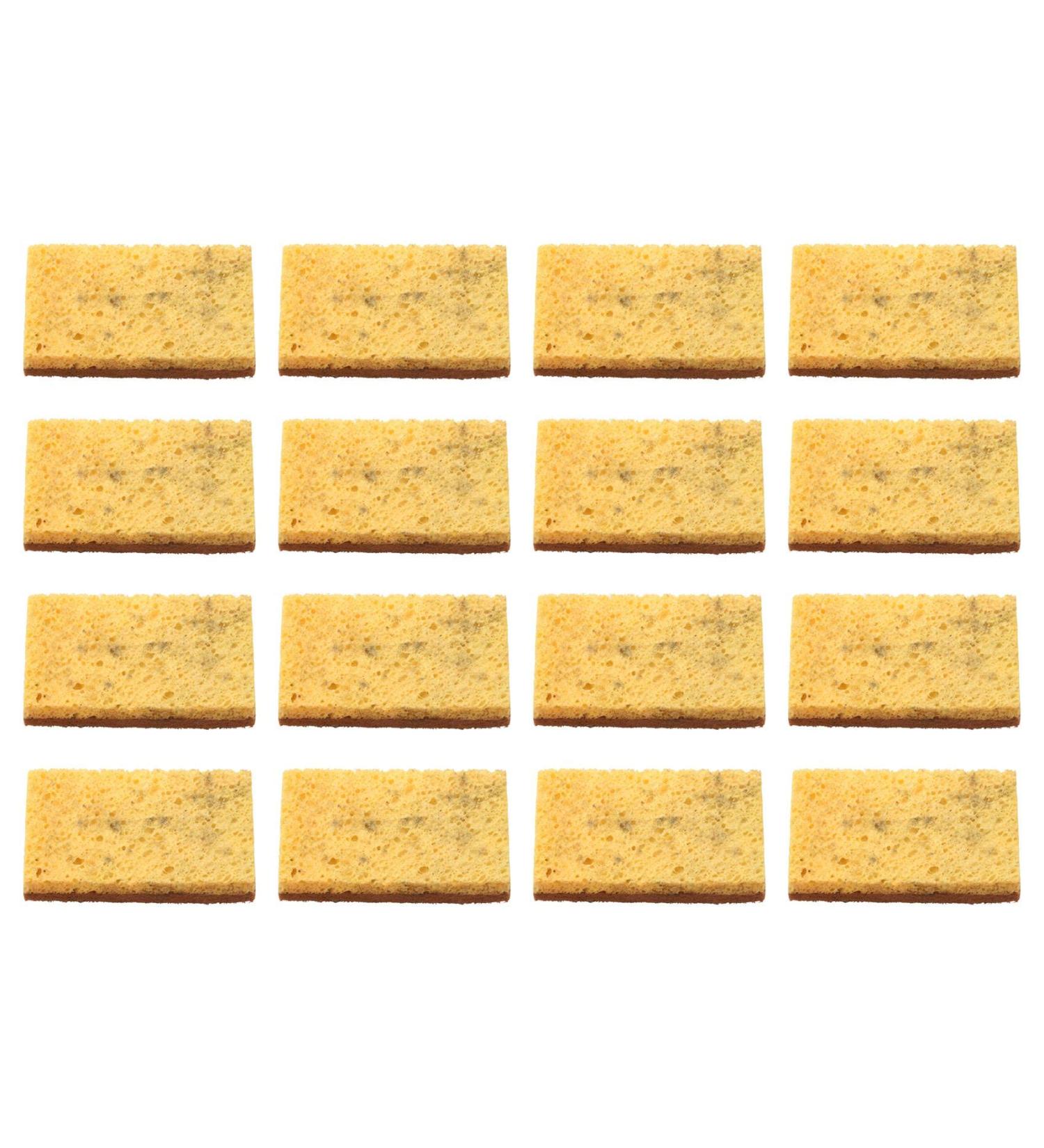 Dewedrt 16 Pack Biodegradable and Compostable Sponges Scouring Pad Palm Fiber Eco-Friendly Sponge for Kitchen Dishes Cleaning - Buy Online on GoSupps.com