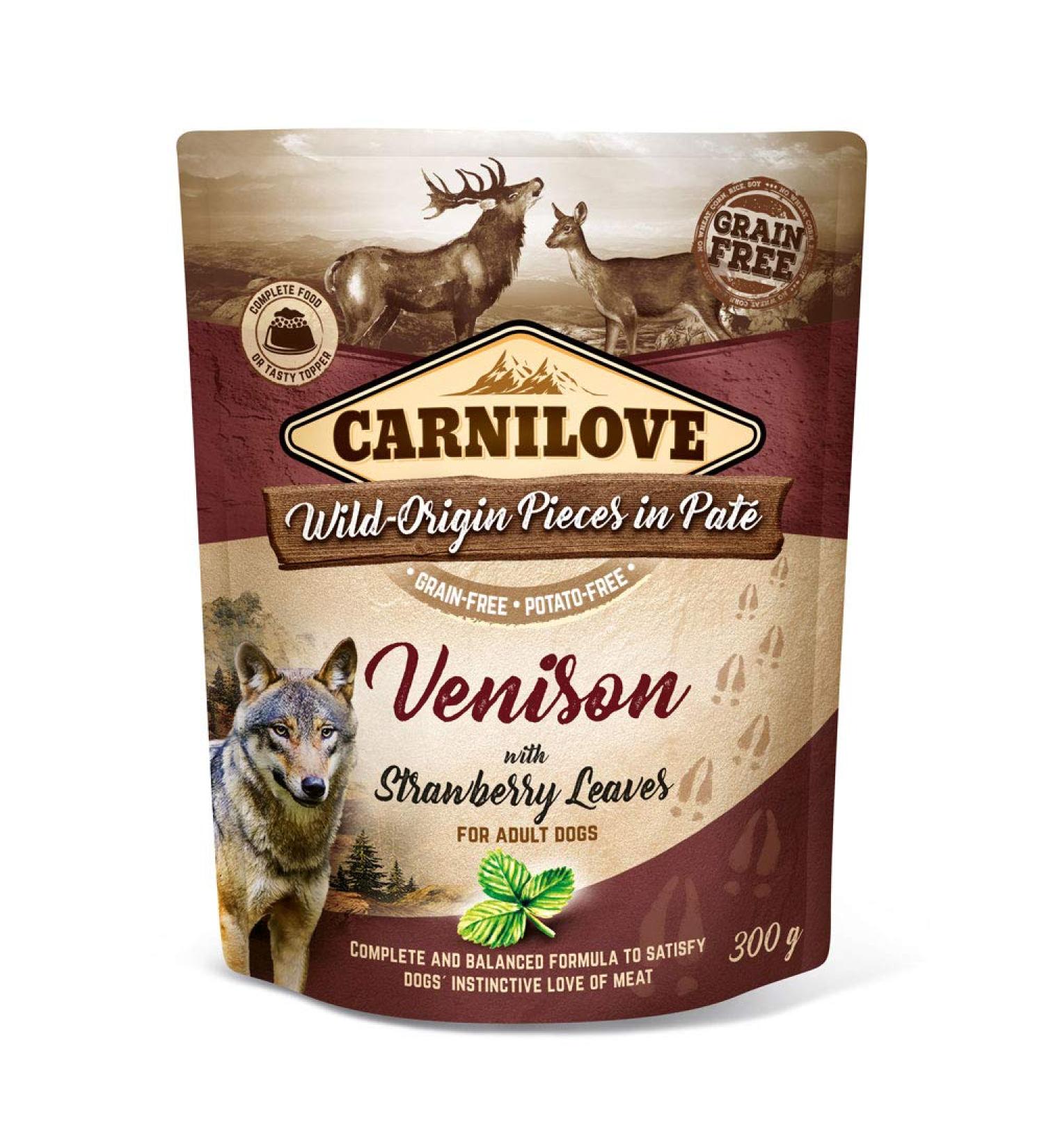 Wet food for dogs VAFO Praha sro Dog carnilove sasz.300g venonis & Strawberry / 12