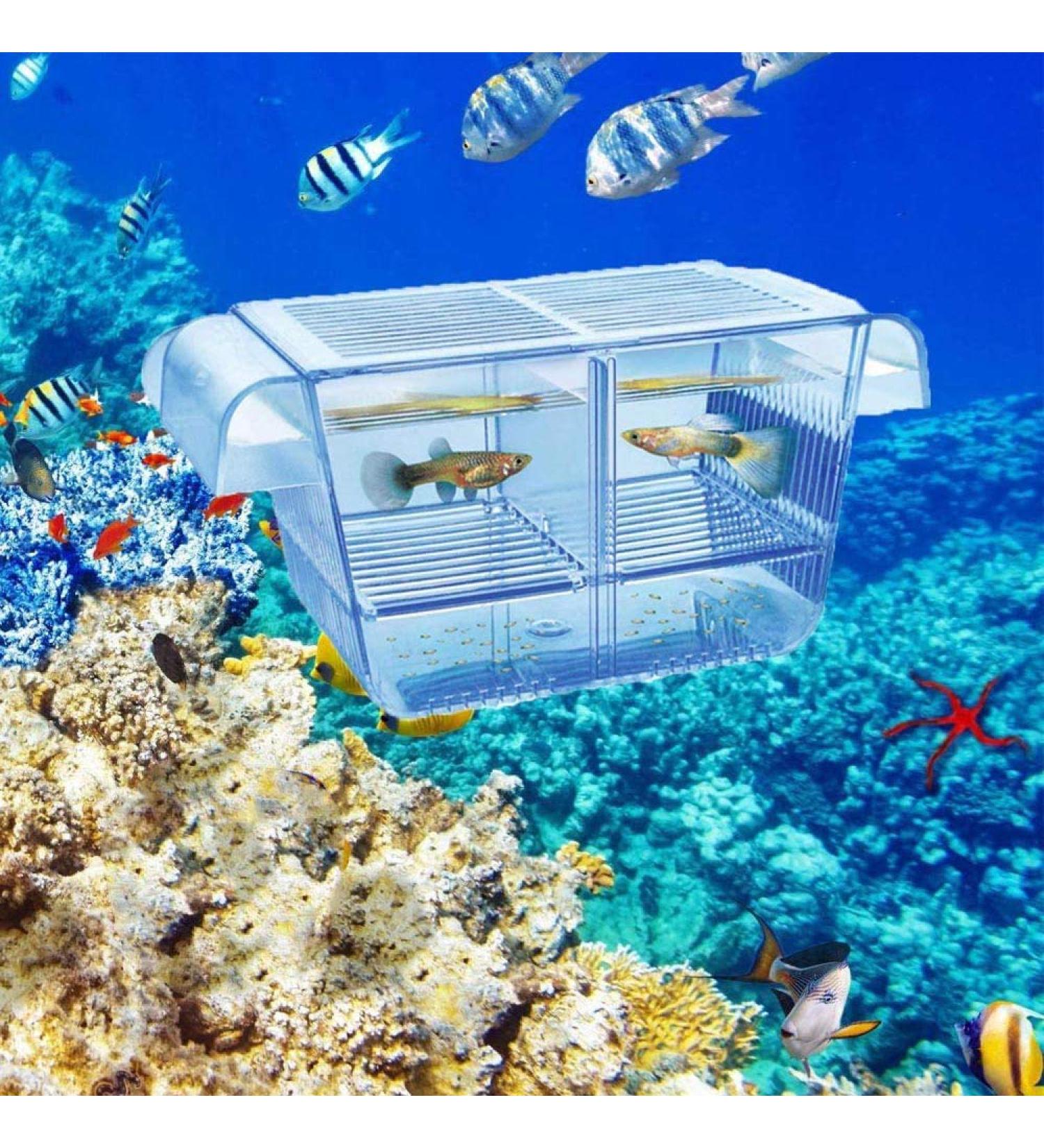Lefunpets Aquarium Fish Breeding Box - Double Guppies Hatching Incubator & Isolation Box for Baby Fish Hatchery - Buy Online on GoSupps.com