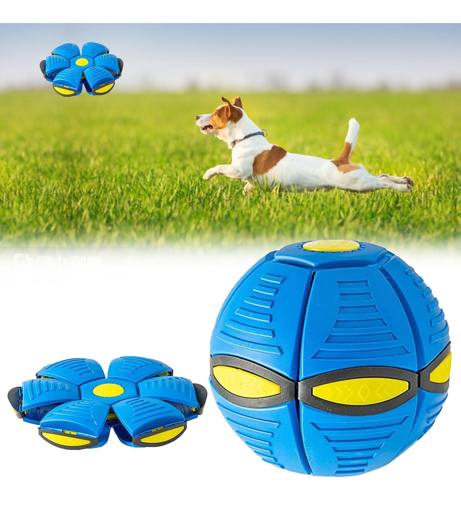 UFO Magical Flying Saucer Ball - Ultimate Frisbee Dog Toy for Training & Play | Blue - Buy Online on GoSupps.com