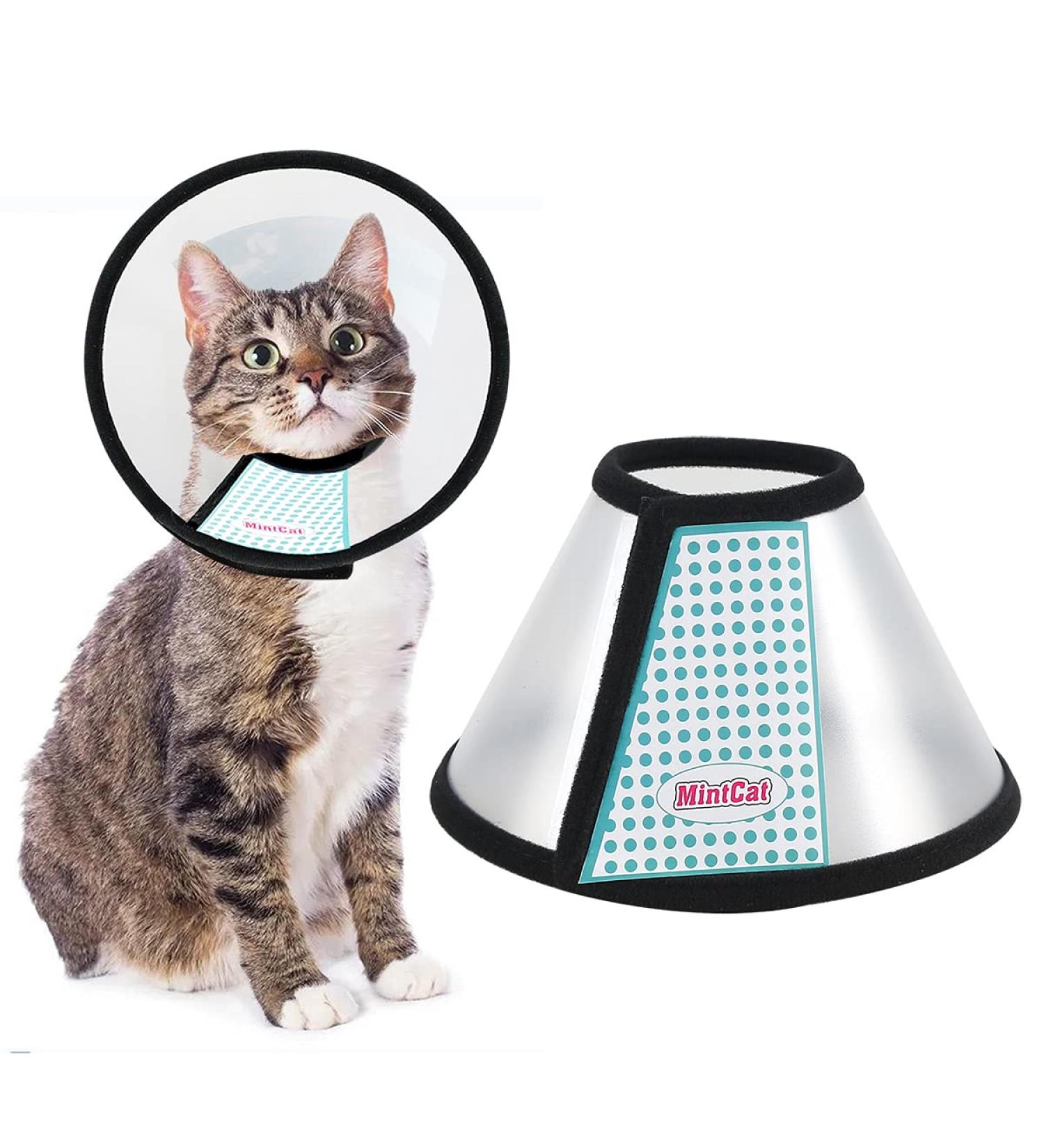 Small cat cone hot sale