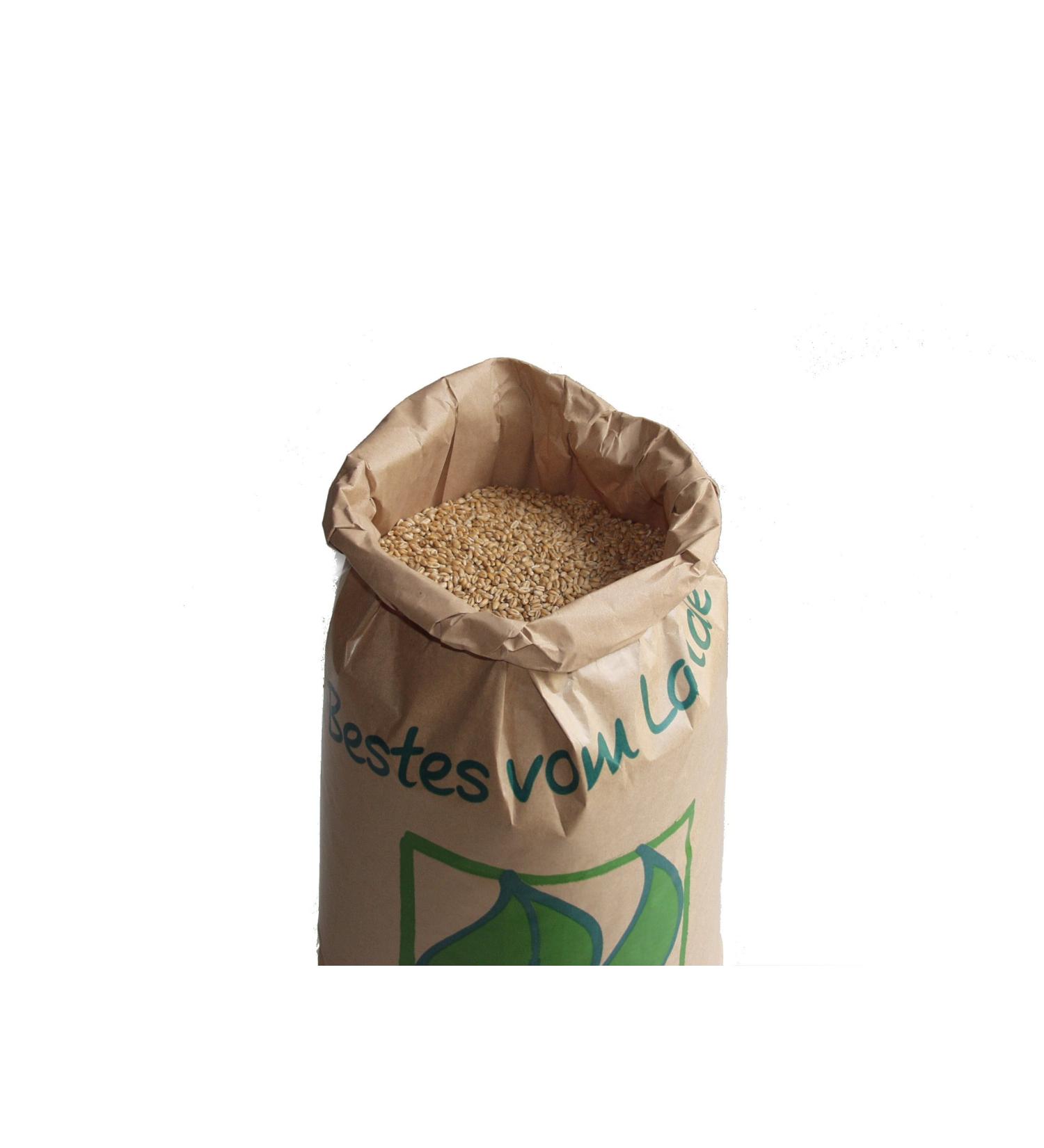 WIDU Organic Wheat for Baking | Whole Grain 12.5 KG Bag - International Shipping Available - Buy Online on GoSupps.com