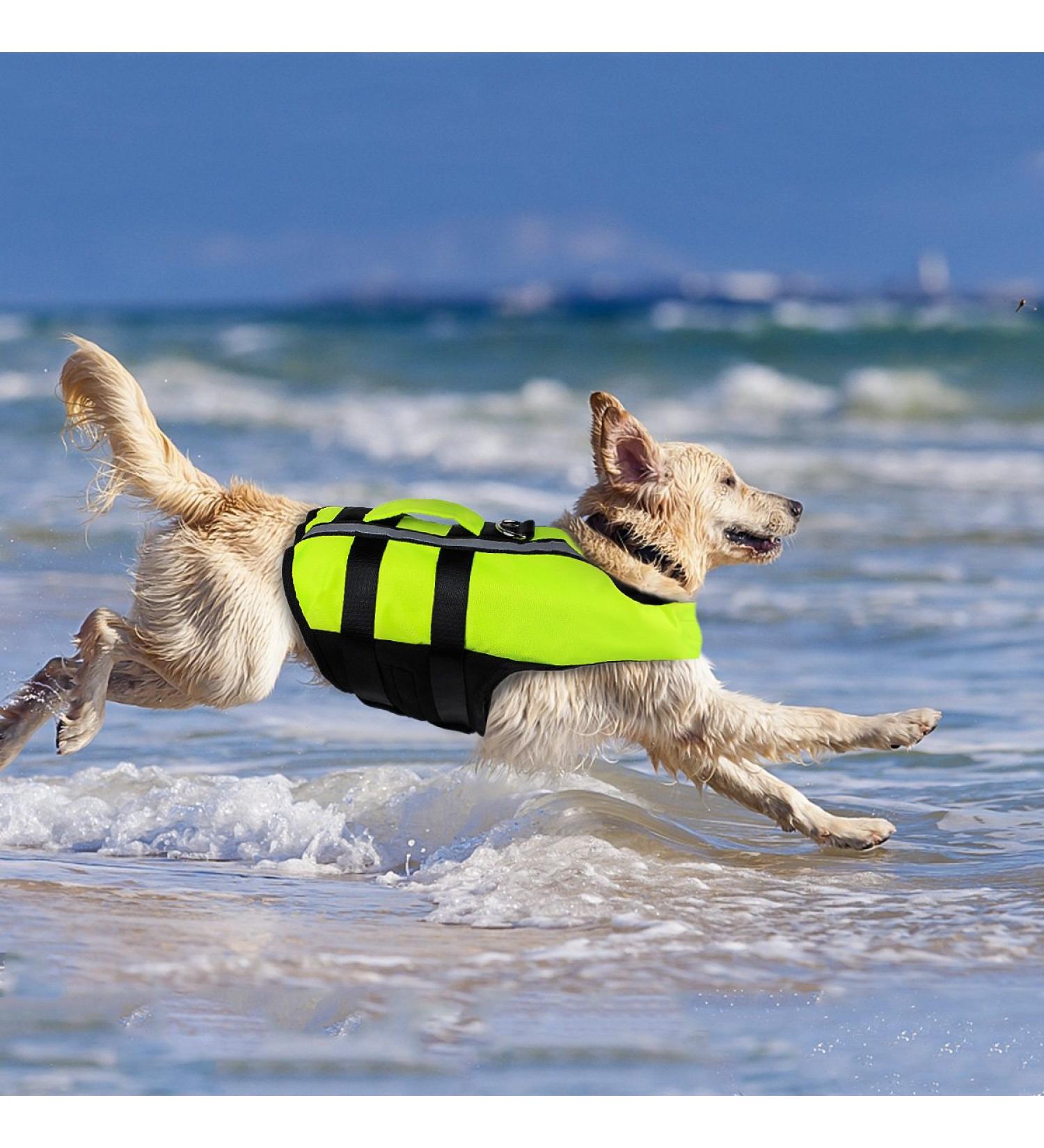 NAMSAN Dog Life Jackets Portable Inflatable Life Jackets for Small Medium & Large Dogs - Green Size L - Buy Online on GoSupps.com