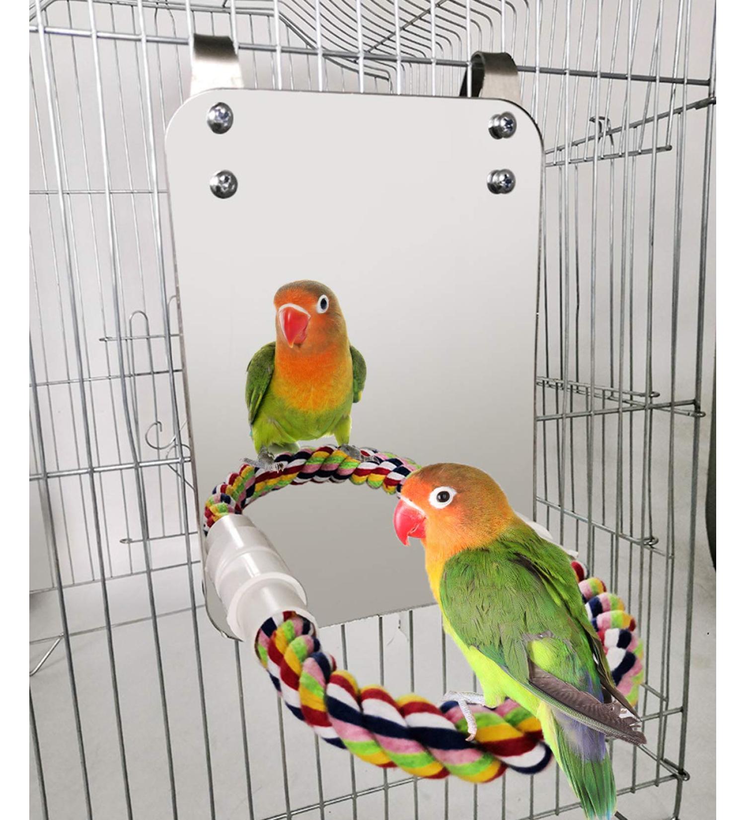 BWOGUE 7 Inch Bird Mirror with Rope Perch for Cage - Bird Swing and Toy for Cockatiel, Parakeet, Conure - Medium Size 7.1 x 5.1 - Buy Online on GoSupps.com