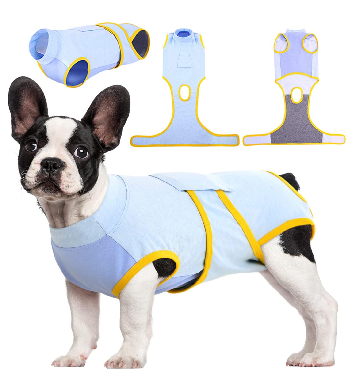 Kuoser Light Blue Dog Recovery Suit | Anti-Lick & Leakage Protection | XS for Male & Female Dogs After Surgery - Buy Online on GoSupps.com
