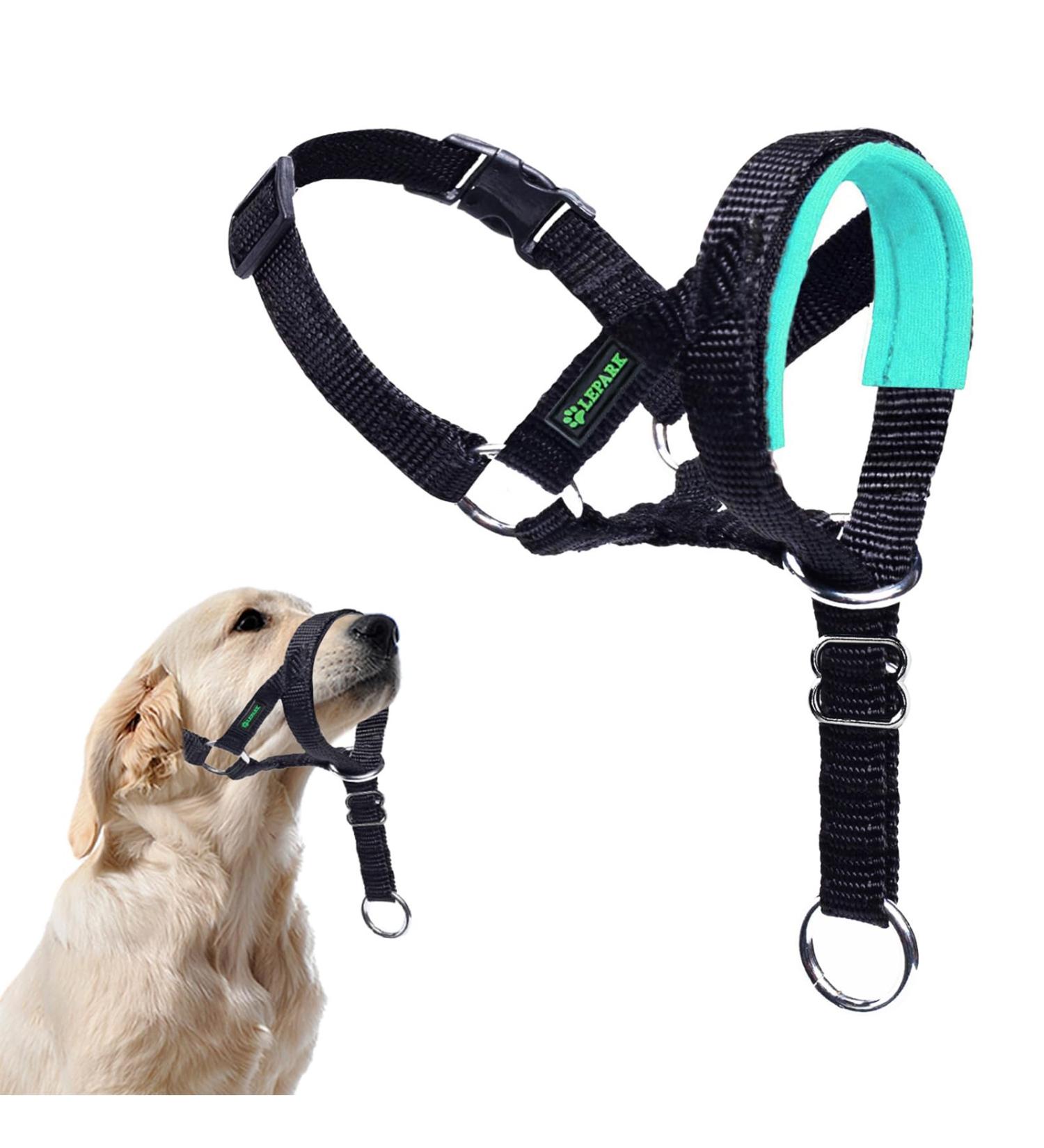 Adjustable Dog Halter with Seat Belt | Head Harness to Prevent Pulling | Easy Control for Small Dogs - Green - Buy Online on GoSupps.com