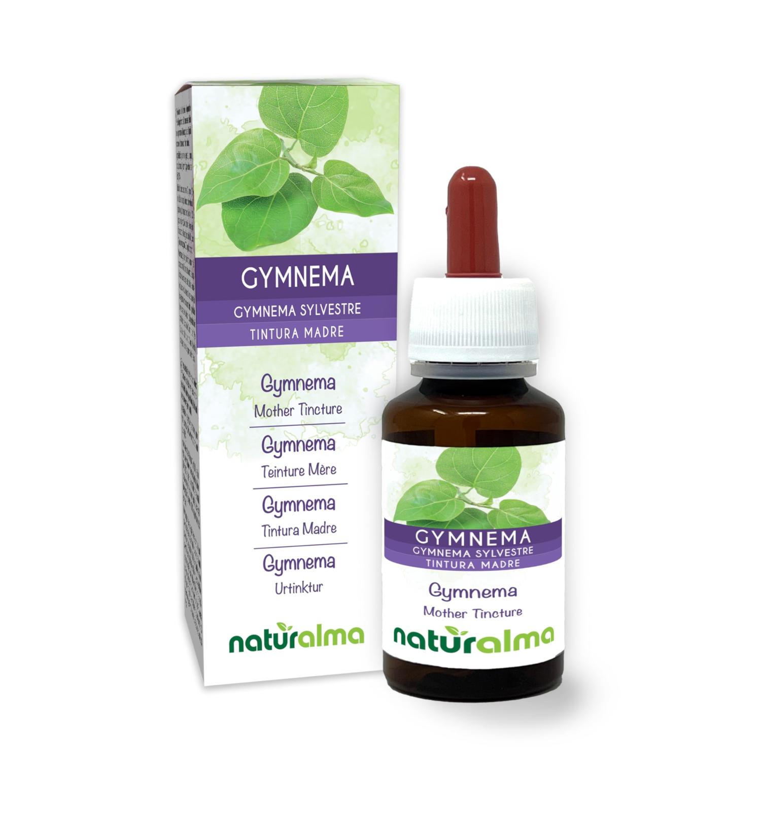 Gymnema (Gymnema sylvestre ou Marsdenia sylvestris) feuilles Teinture M re sans alcool Naturalma - Extrait liquide gouttes 60 ml - Compl ment alimentaire - V g talien ou v gan Sans alcool 60 ml (Lot de 1) - Buy Online on GoSupps.com