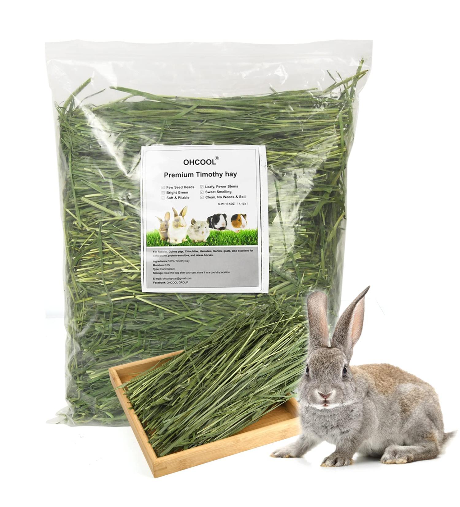OHCOOL Timothy Hay 500g - Dust Free Natural Green Fresh Food Hay for Rabbits Tortoise Guinea Pig Chinchilla Timothy Hay 500g 500 g (Pack of 1) - Buy Online on GoSupps.com