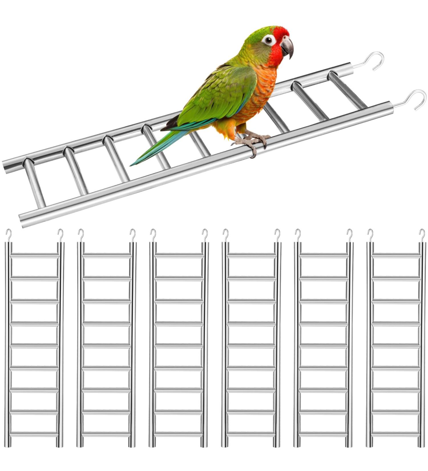 Kigeli 6 Pcs Step Ladder for Bird Bird Toys Ladder Hanging Bird Ladder Parrot Step Ladders Cage Hanging Bird Climbing Toys for Parakeets Parrots Cockatoo and Lovebirds (Stainless Steel 1 Size) Stainless Steel One Size - Buy Online on GoSupps.com