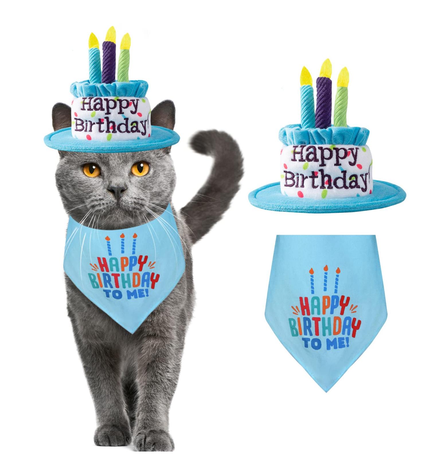Ushang Pet Birthday Party Set - Blue Cat Happy Birthday Hat with Candles & Bandana Scarfs | Cat Birthday Supplies & Decorations - Buy Online on GoSupps.com