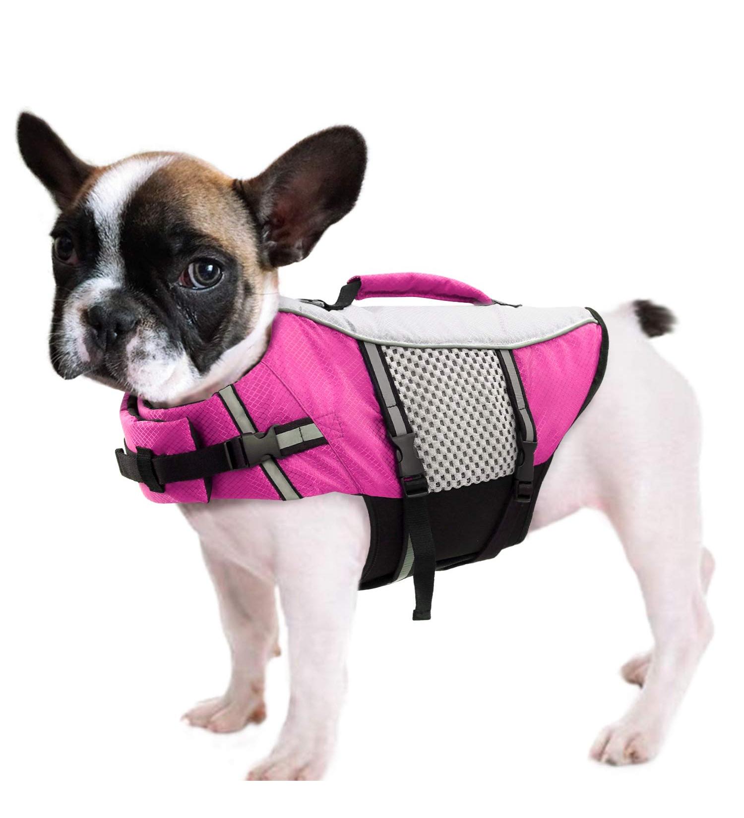 Cit toile Adjustable Life Jacket for Small Dogs - Buoyant & Safe for Water Sports | Pink - Ideal for Chihuahuas Dachshunds & Bulldogs - Buy Online on GoSupps.com