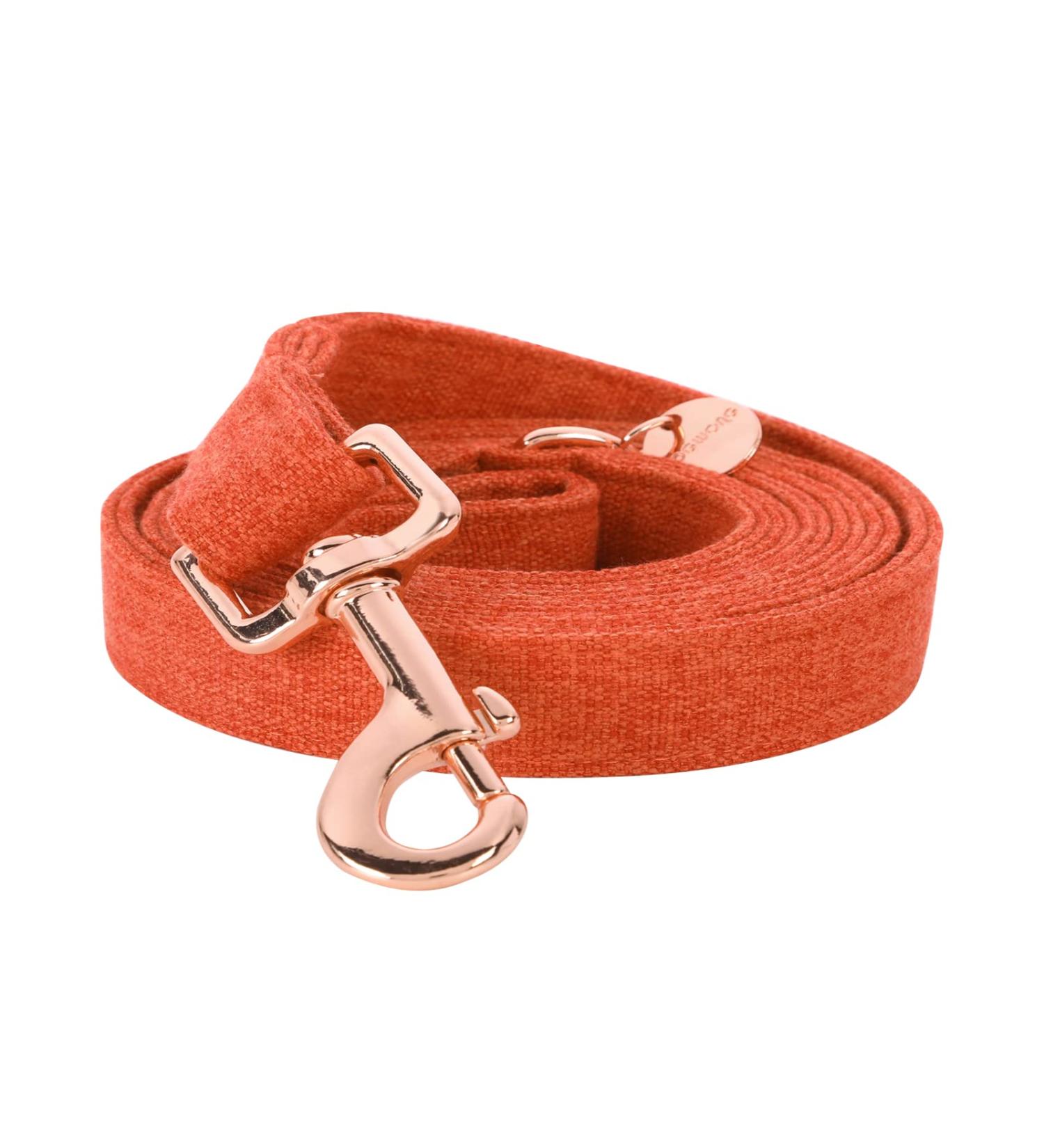 Dogwong dog collar with removable fly light blue pet neck dog dog gift for girls or young dogs comfortable adjustable dog collar for small medium-sized dogs X-Small (pack of 1) Orange dog leash